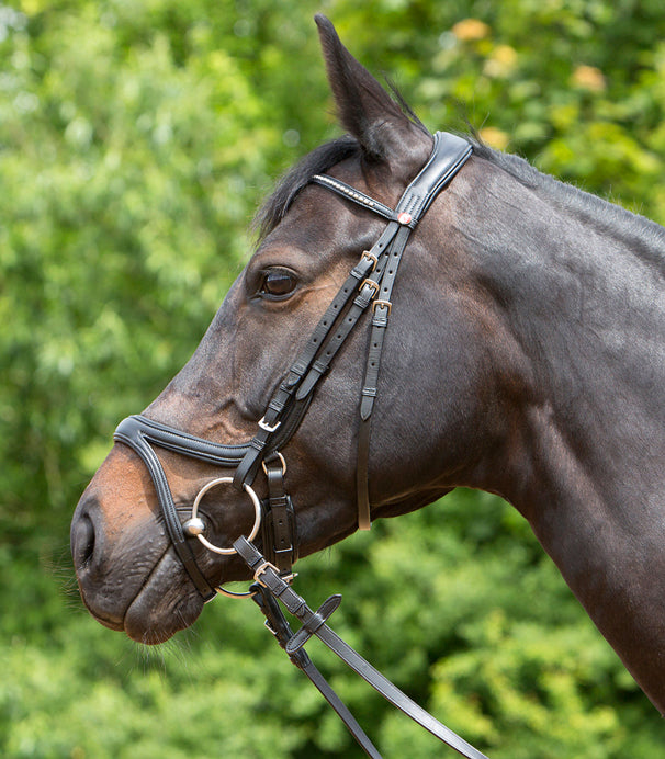Kieffer Bridle Ultrasoft Tara Black / Cob