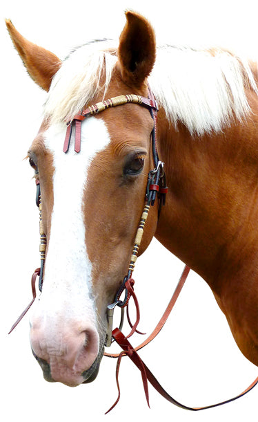 Origin Western Bridle w/Rawhide (Tan)