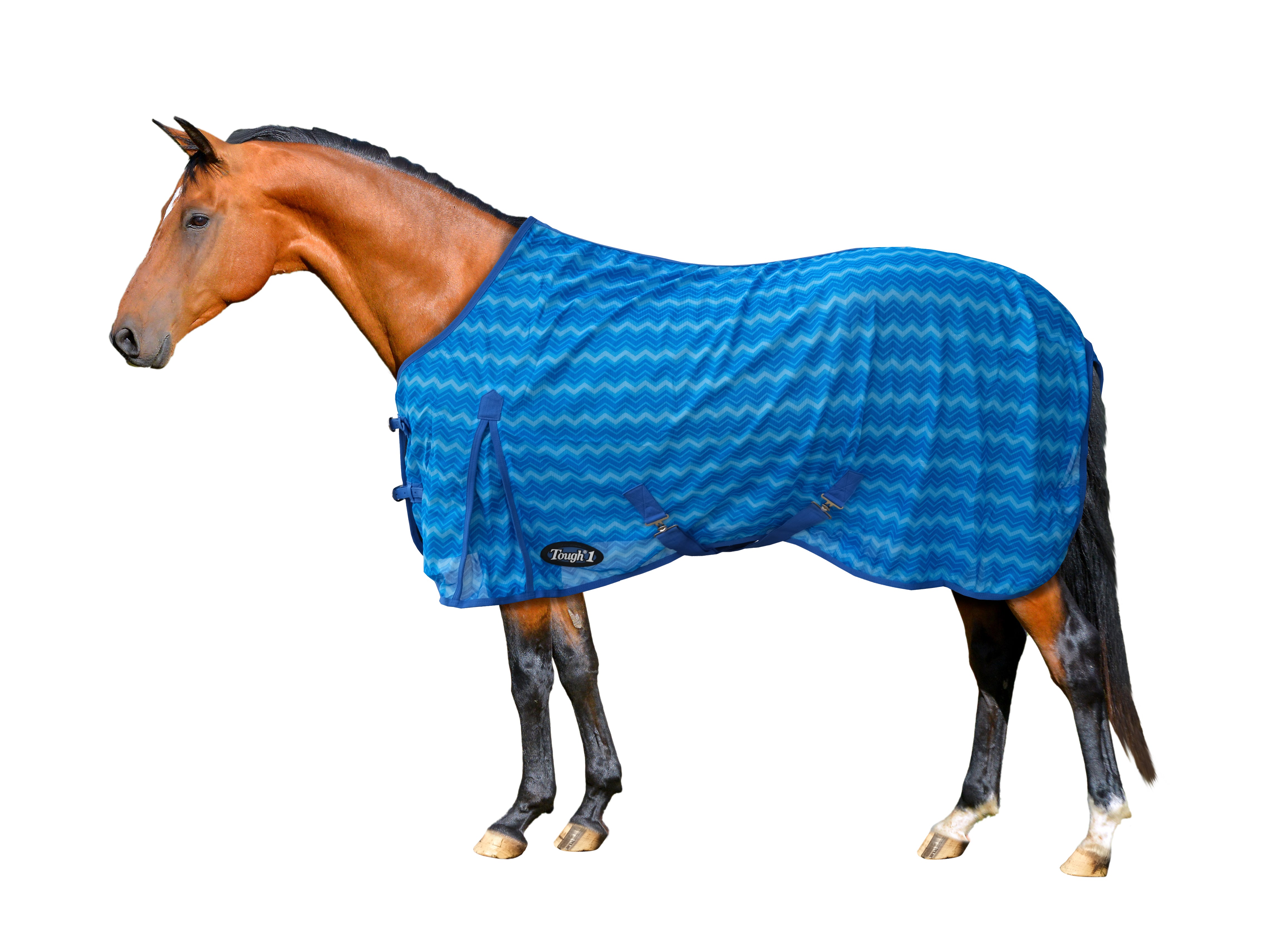 Clearance Fly Rug (Assorted)