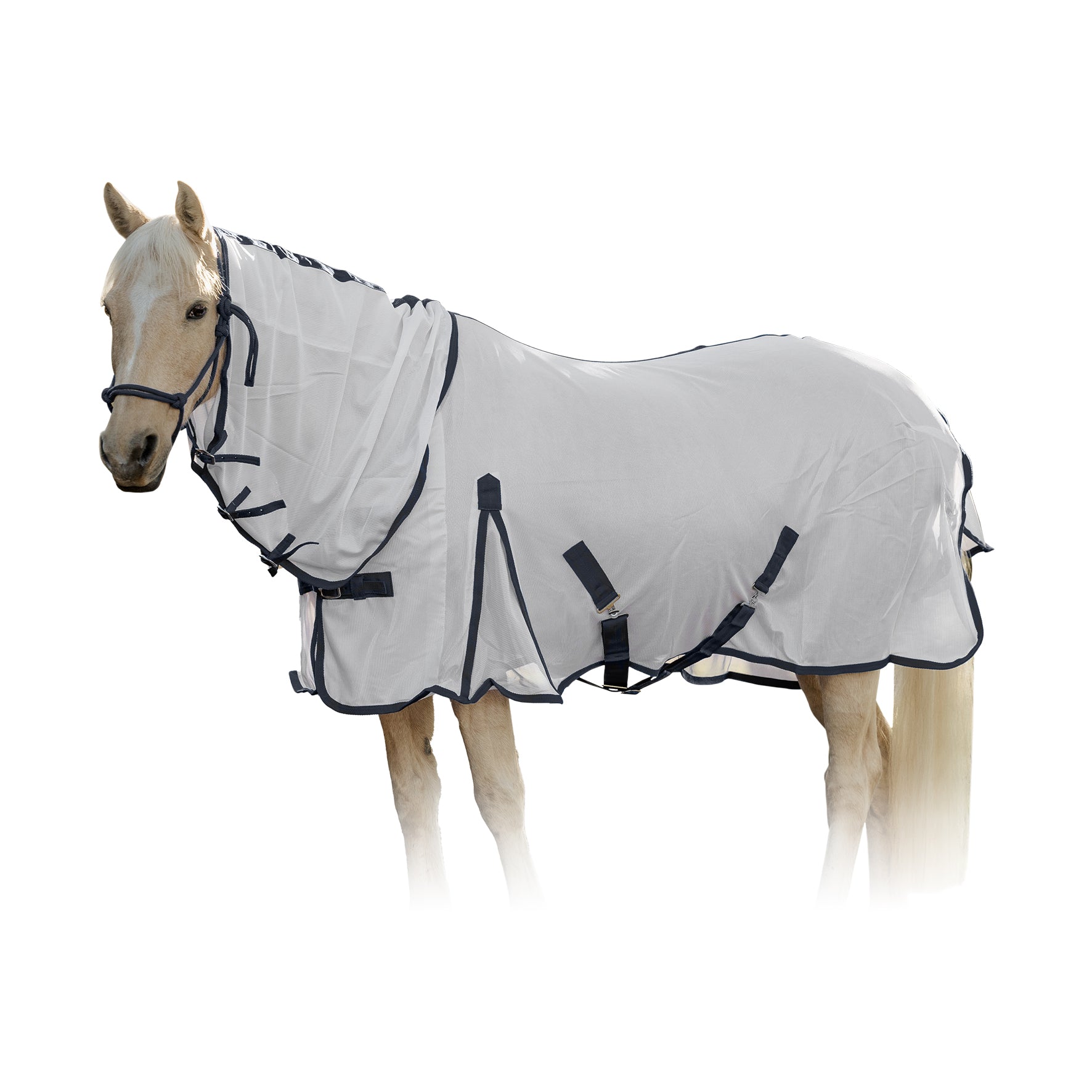 CCI Fly Sheet (Assorted)
