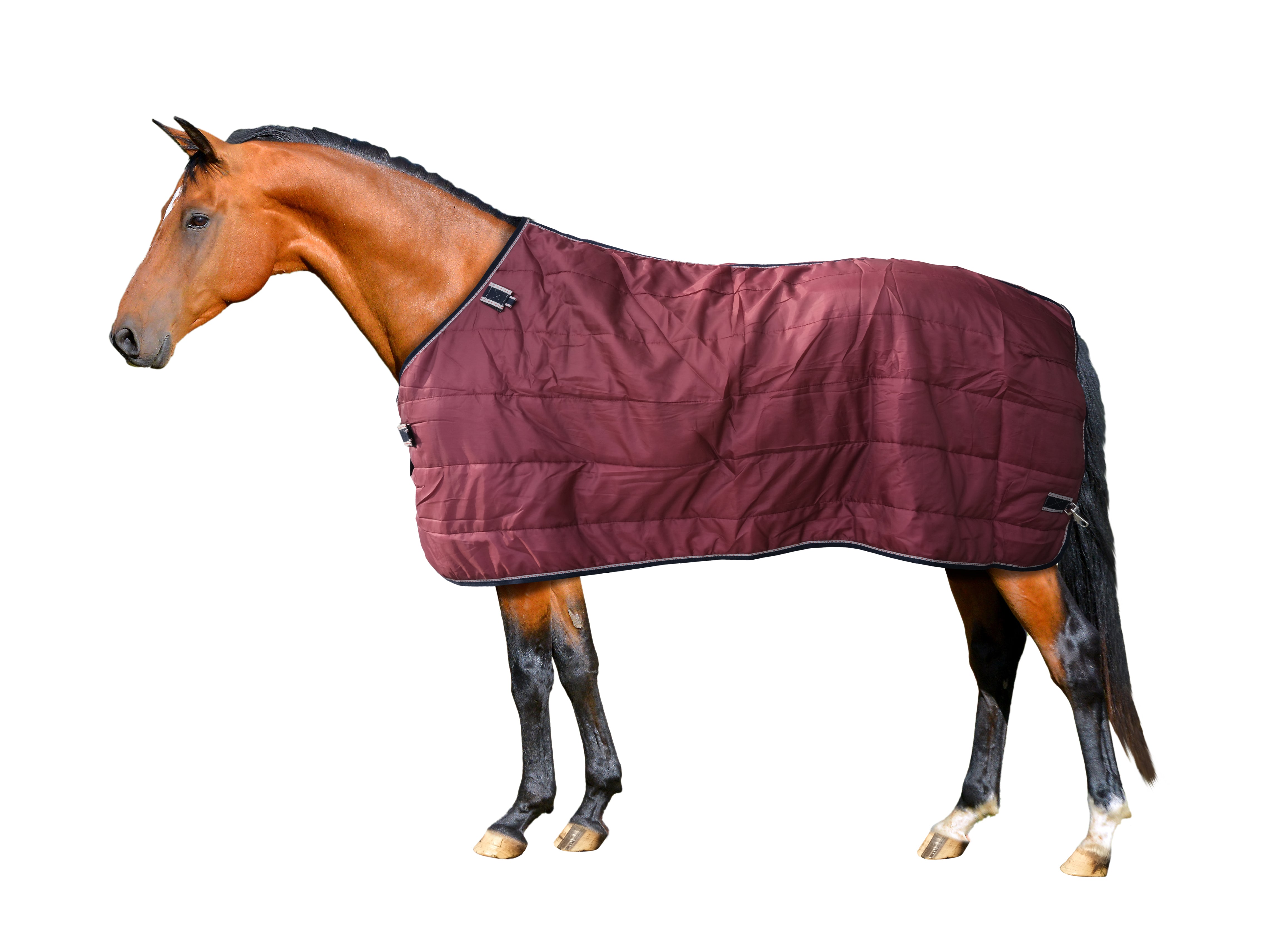 Clearance Under Rug (Asst)