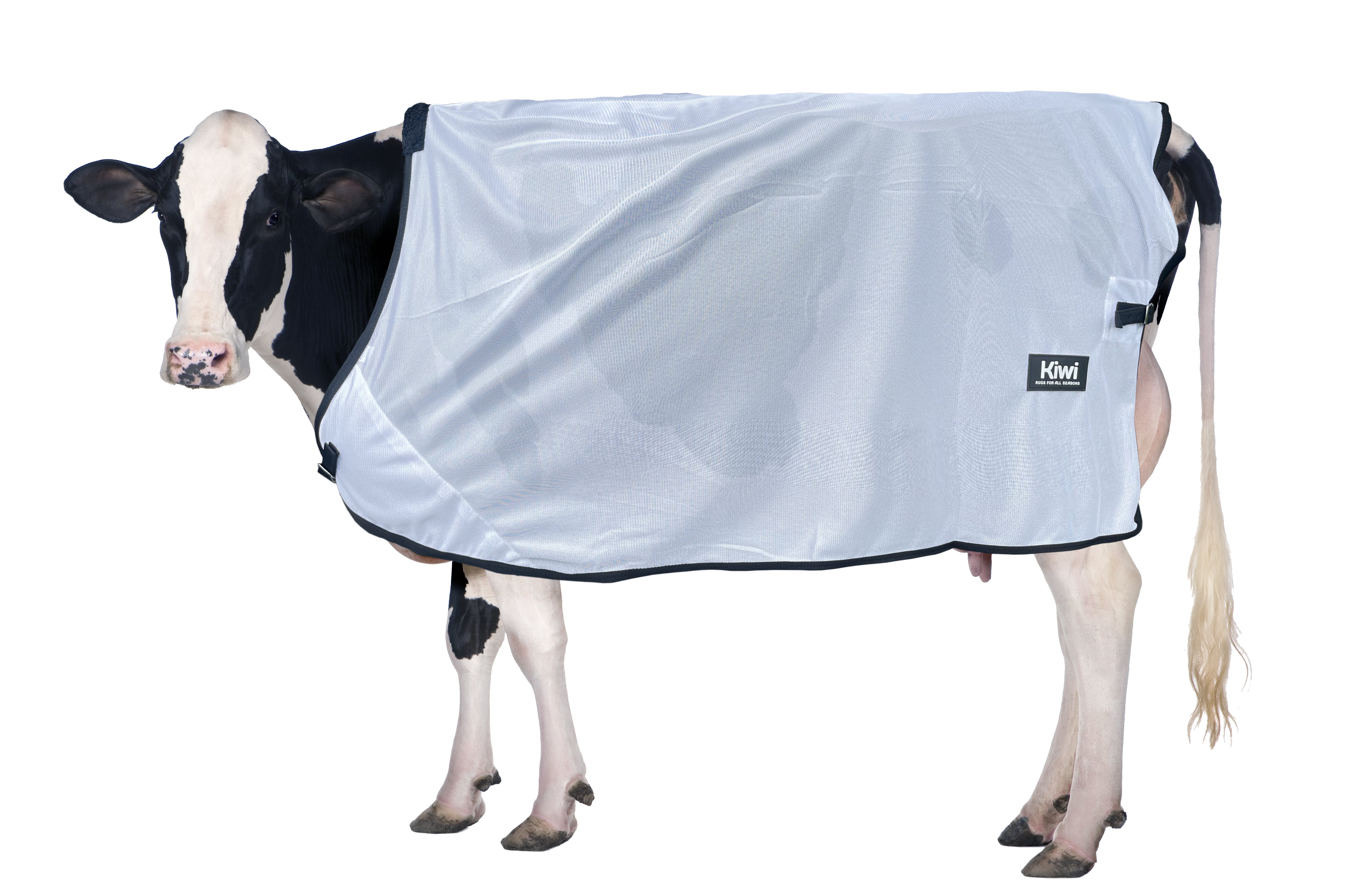 Mesh Cow Cover One / 4.3