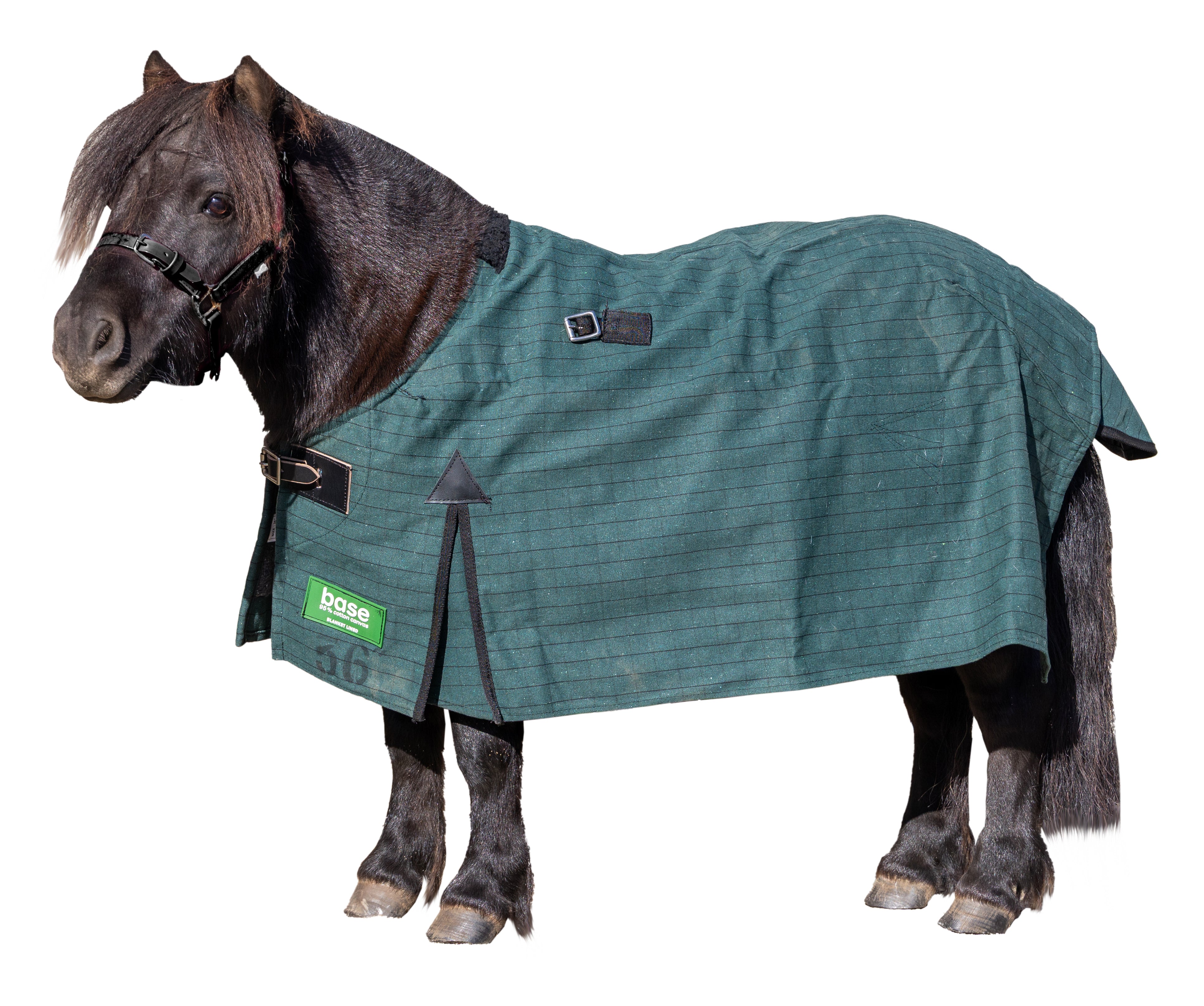 15oz Base Blanket Lined Canvas Mini One / 27