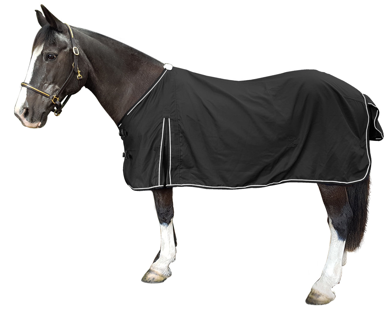 Kiwi Cotton Dress Rug Black / 3.9