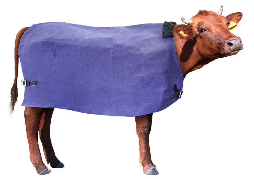 Cow Cover Canvas Wool Lined One / 4