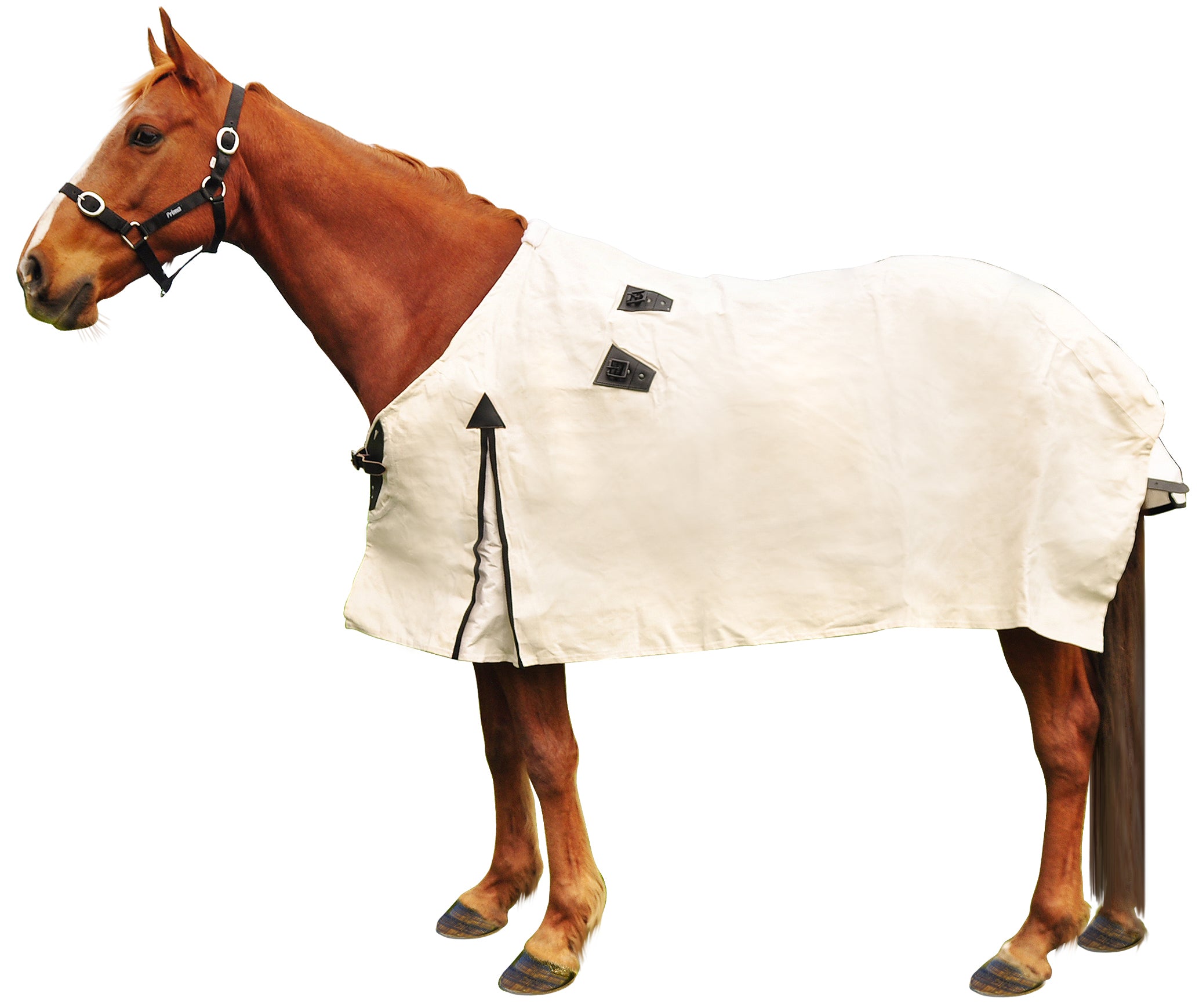 Kiwi 15oz Premium Calico Canvas Rug% One / 4.3