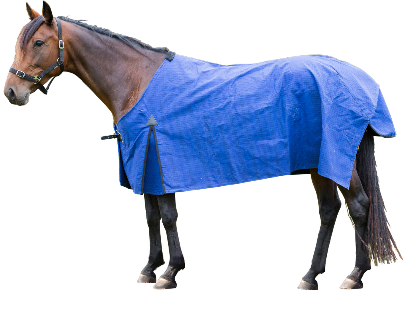 18oz Econ Blanket Canvas Rug One / 3.6