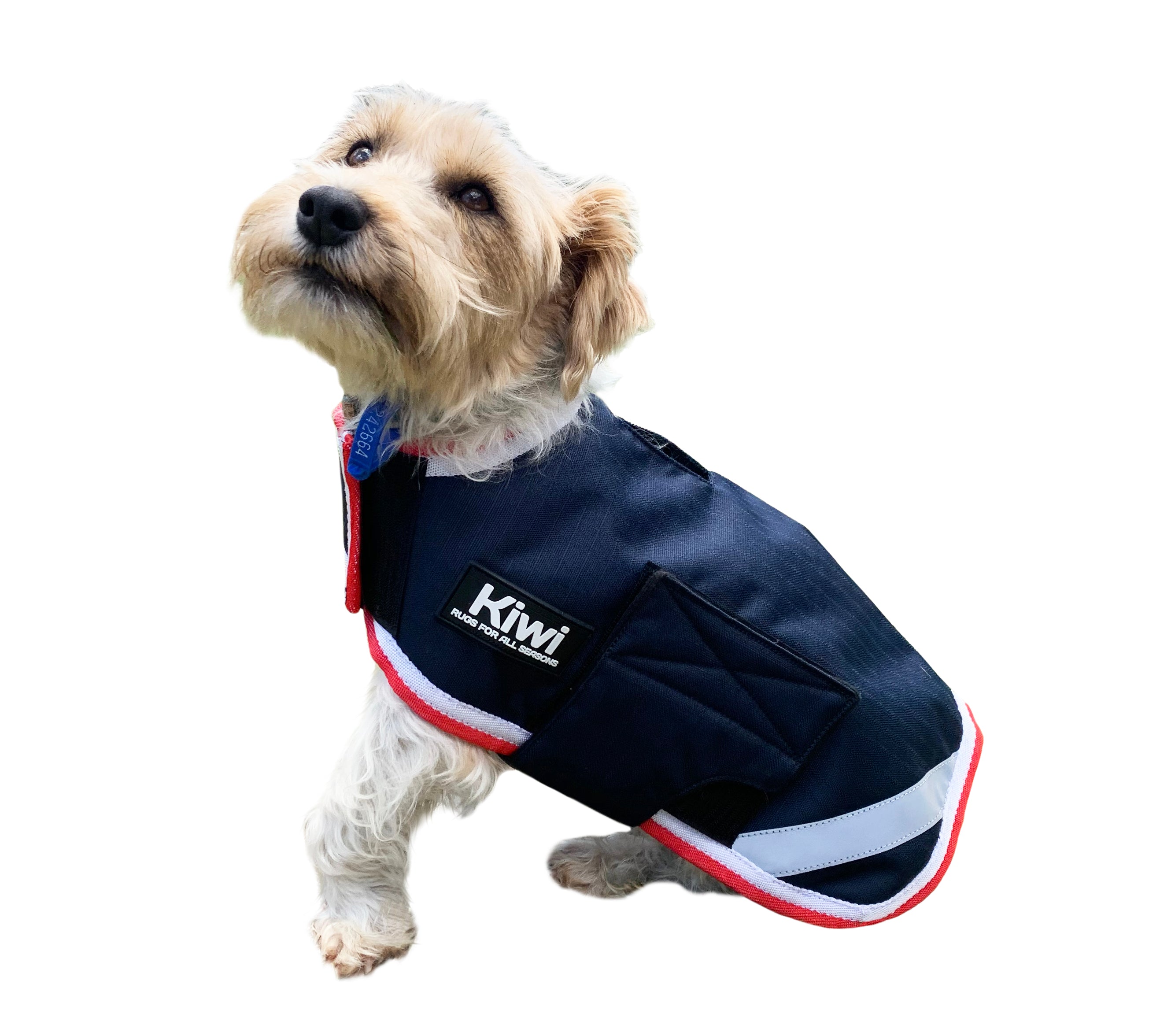 Kiwi 600D Fleece Lined Dog Coat One / 12