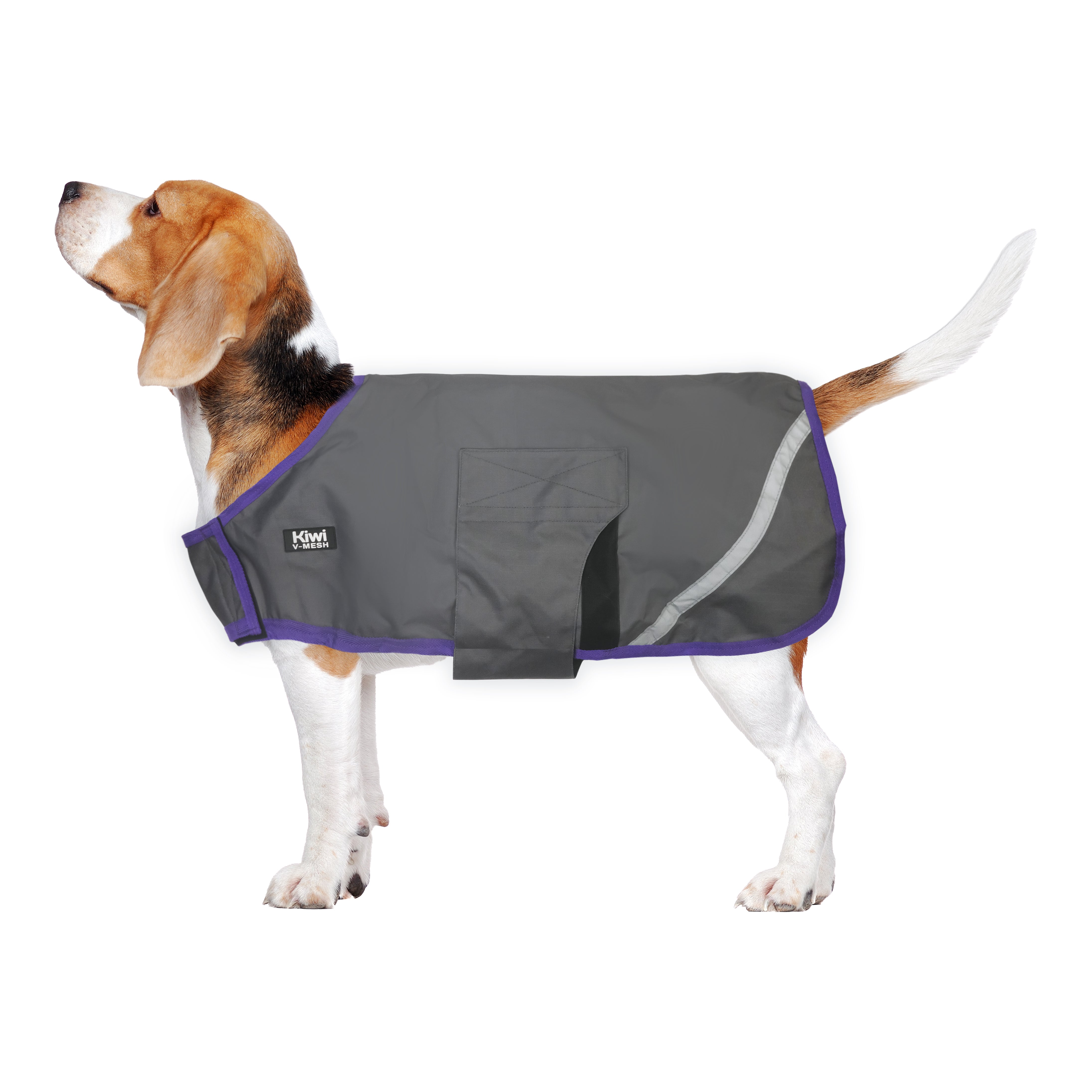 Kiwi 600D Mesh Lined Dog Coat One / 12