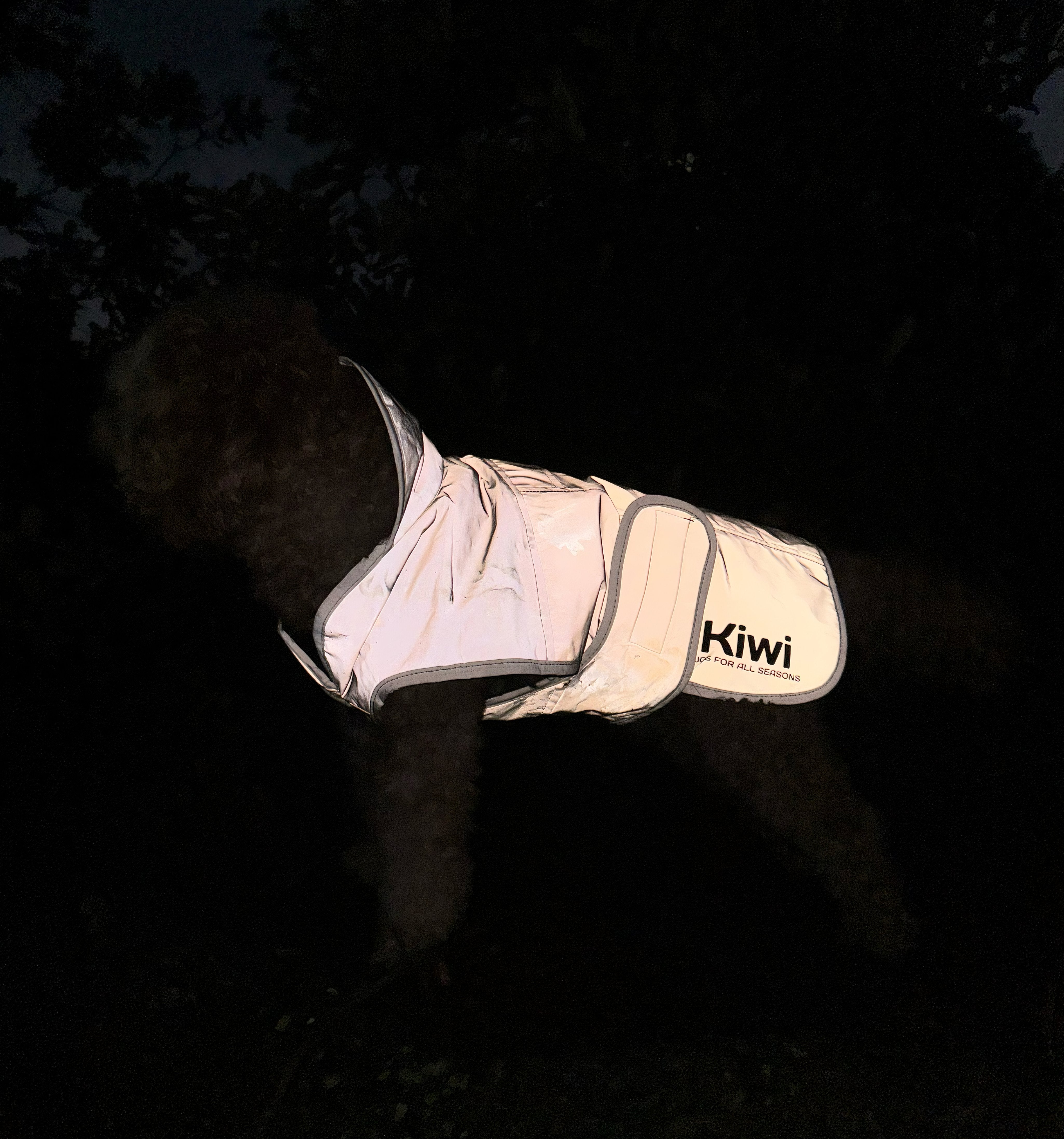Kiwi Reflective Dog Coat One / 25cm