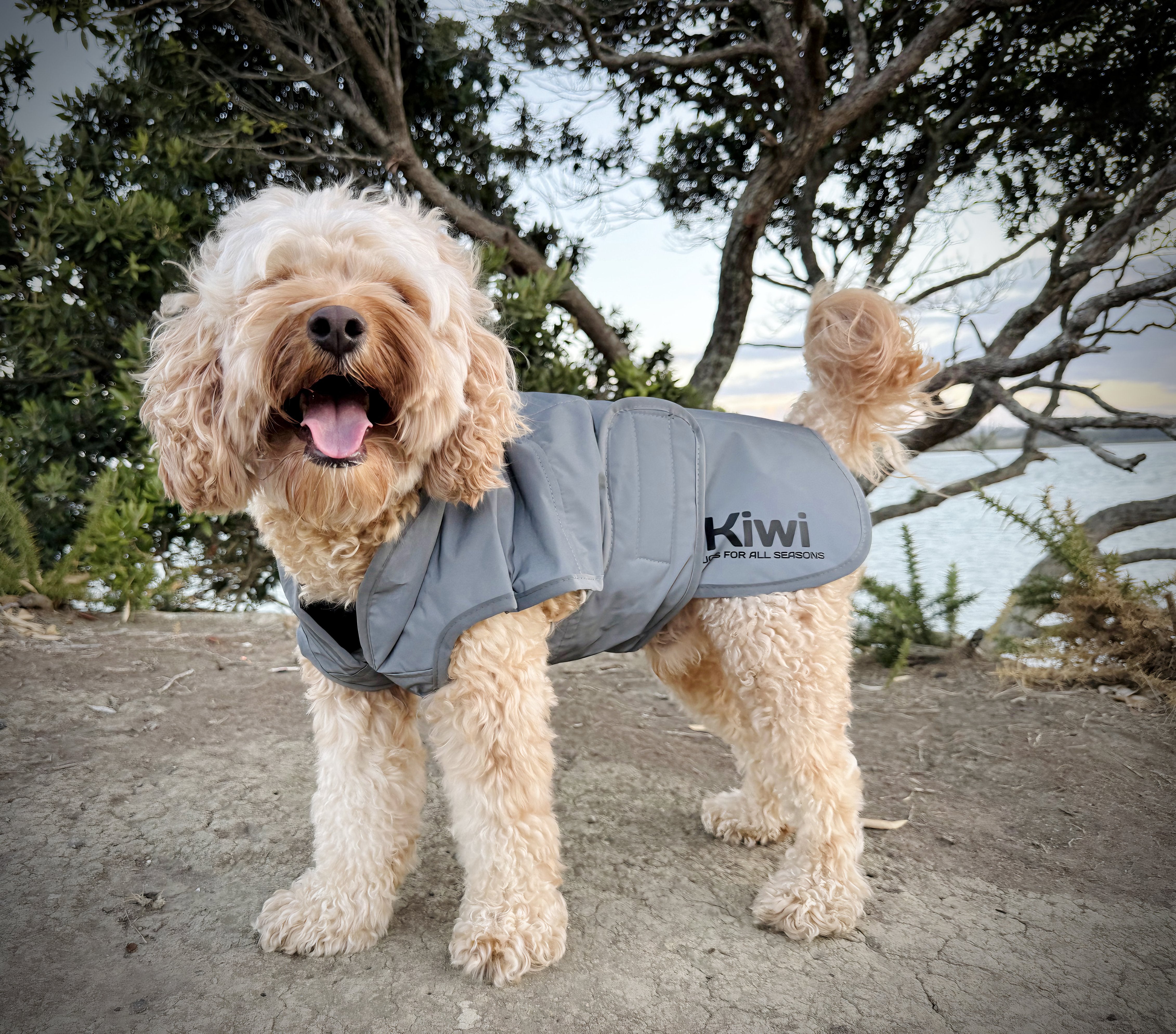 Kiwi Reflective Dog Coat One / 25cm