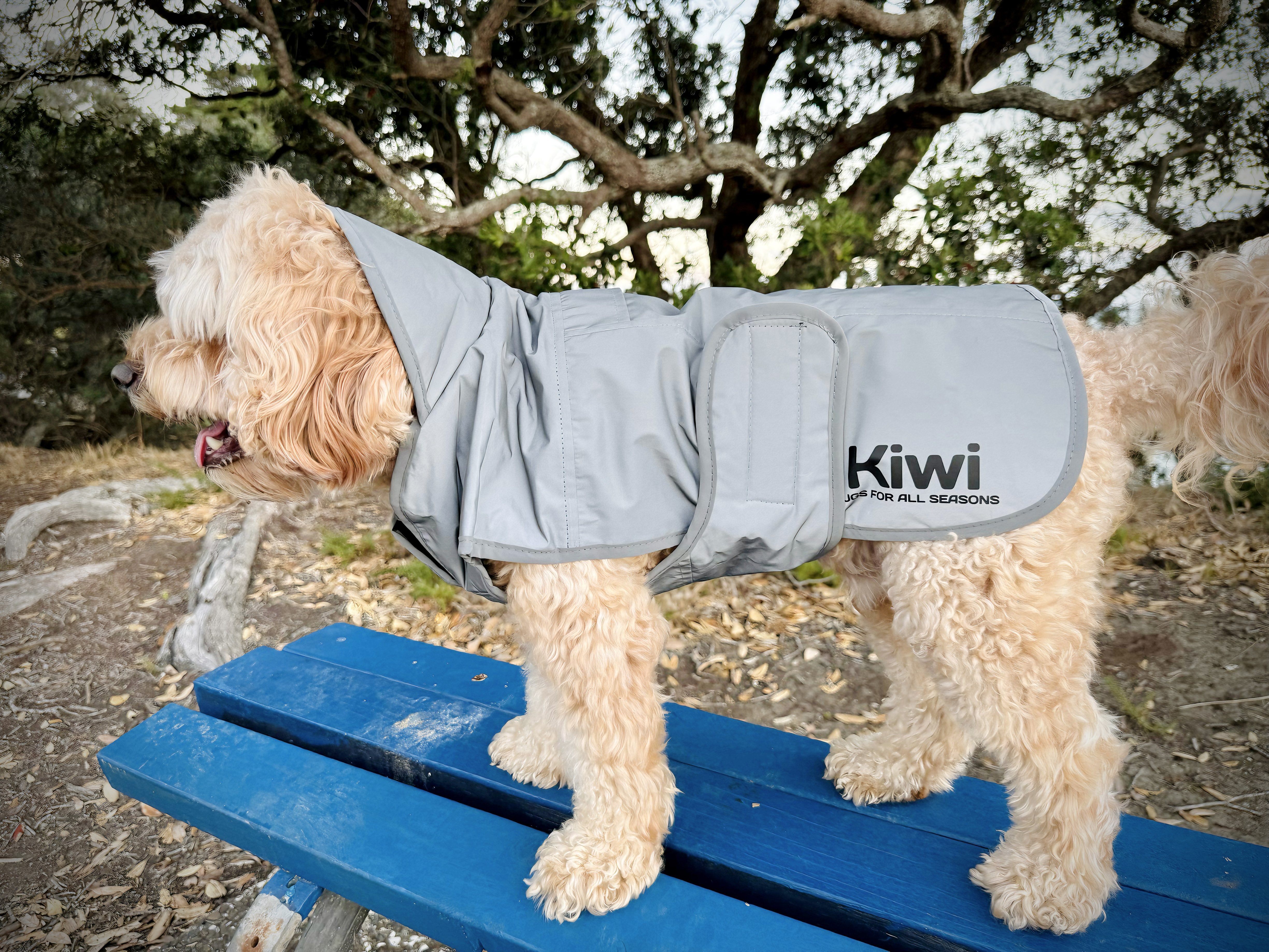 Kiwi Reflective Dog Coat One / 25cm