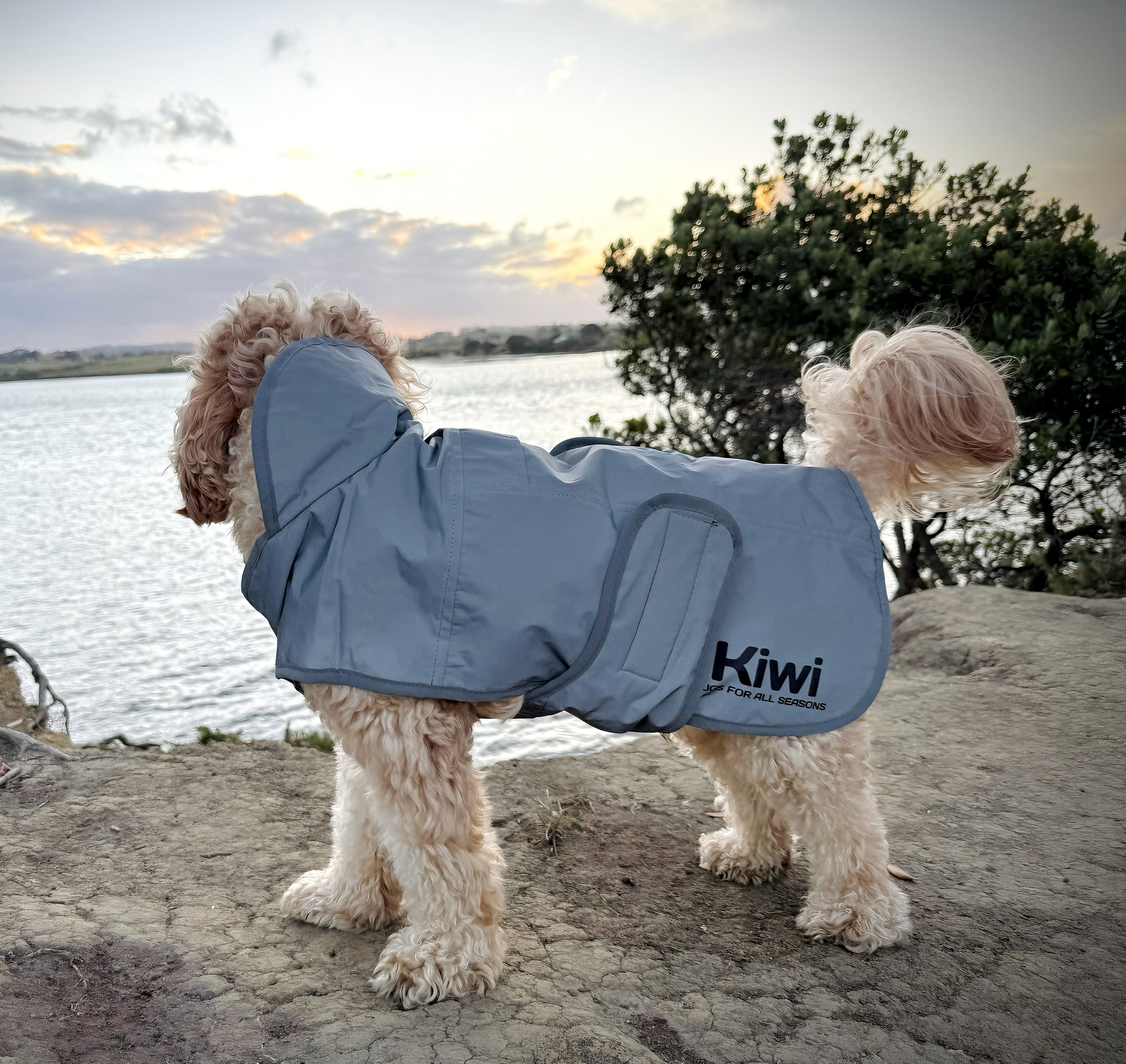 Kiwi Reflective Dog Coat One / 25cm