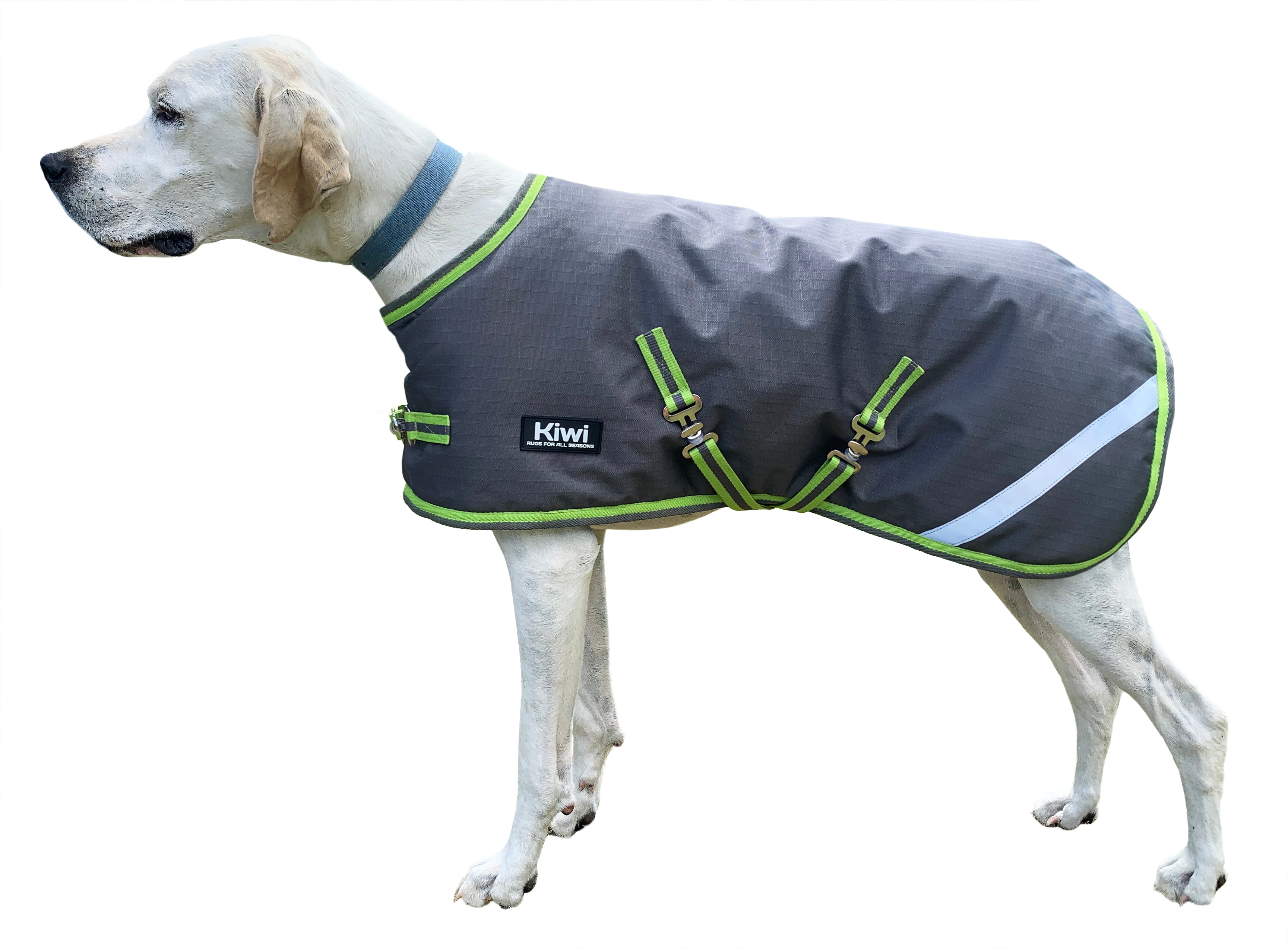 Kiwi 600D Dog Coat w/Surcingle 200g / 12