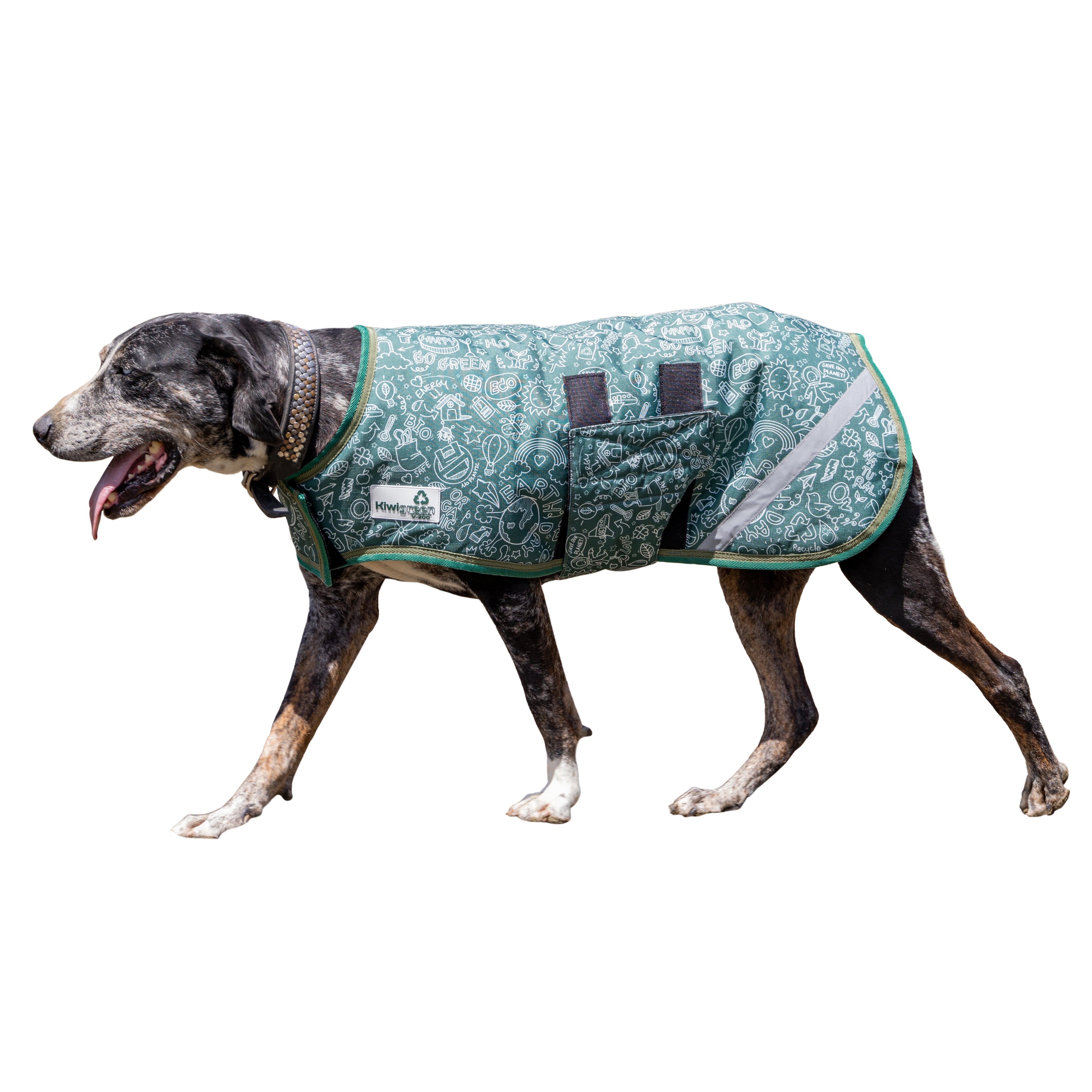 KiwiGreen 600D Dog Coat w/Velcro 200g / 12