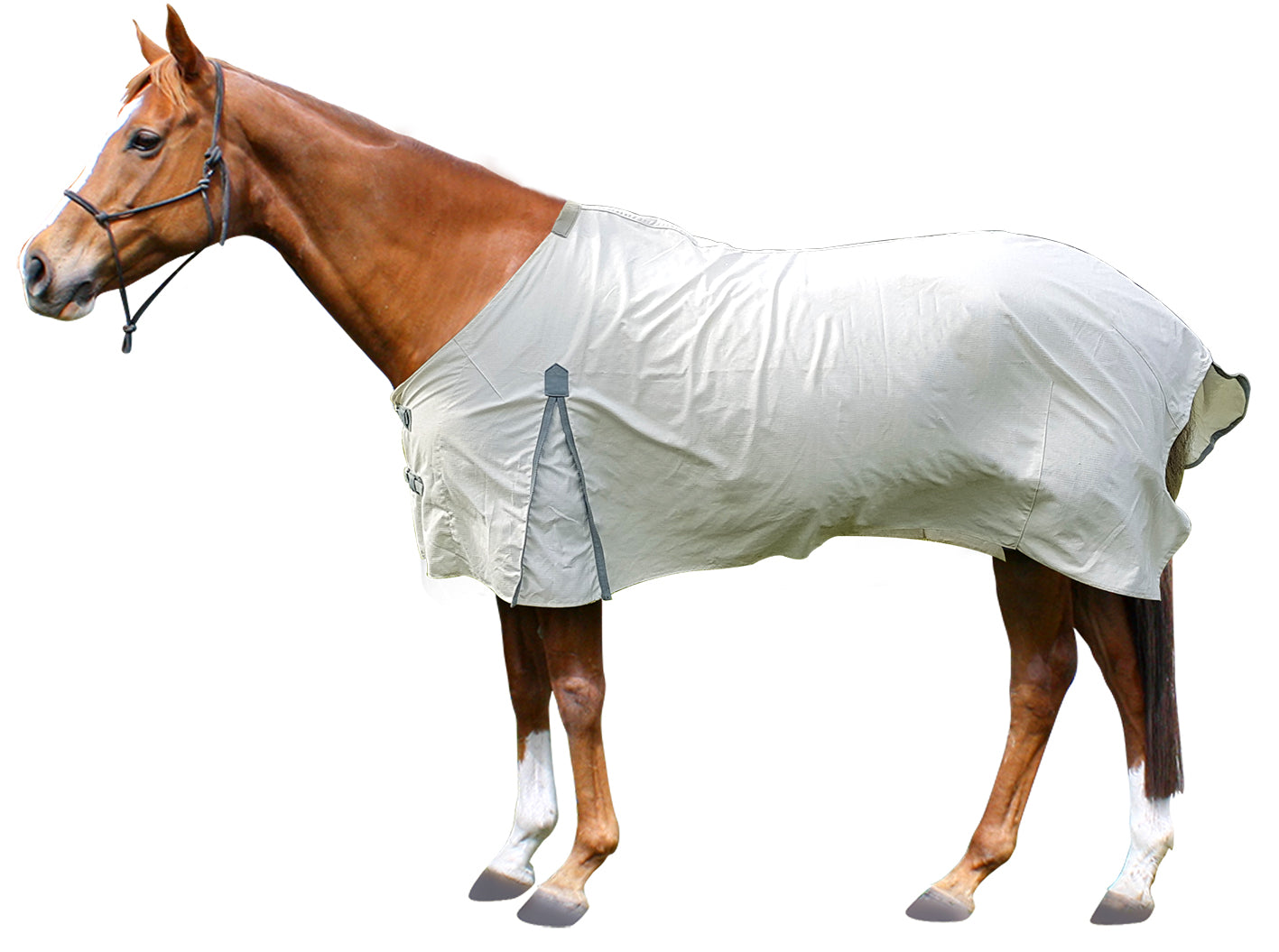 Kiwi 10oz Premium Summer Sheet Rug One / 4.6
