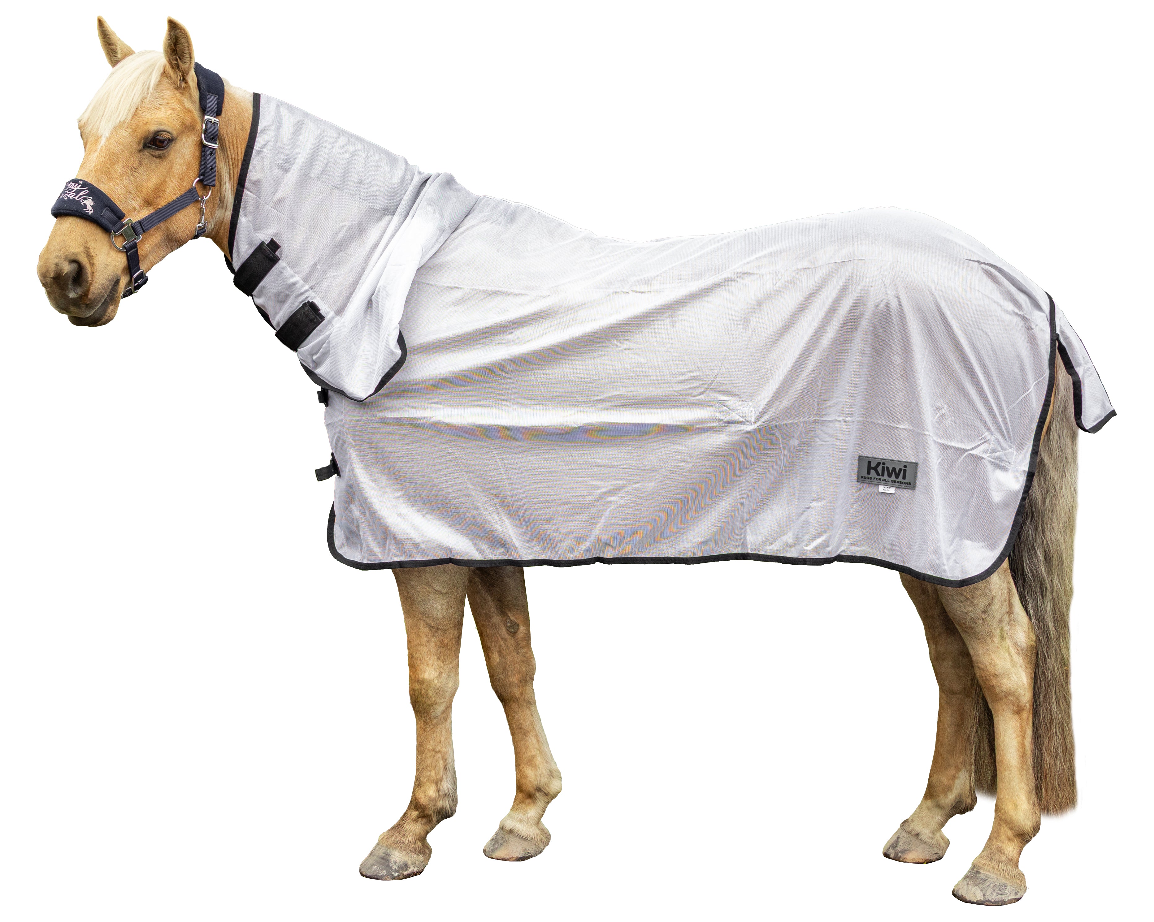 Kiwi Mesh Fly Combo Rug White / 3.9