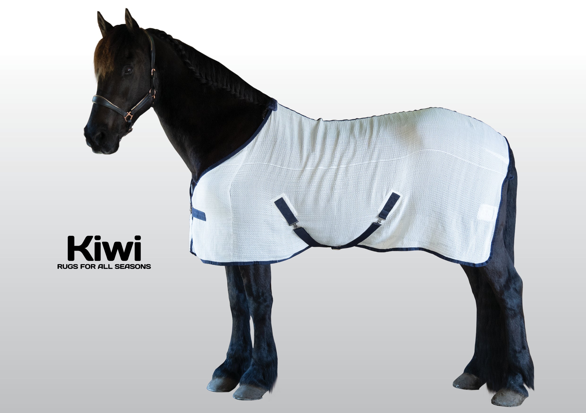 Kiwi Premium Anti Sweat Rug One / 4.3