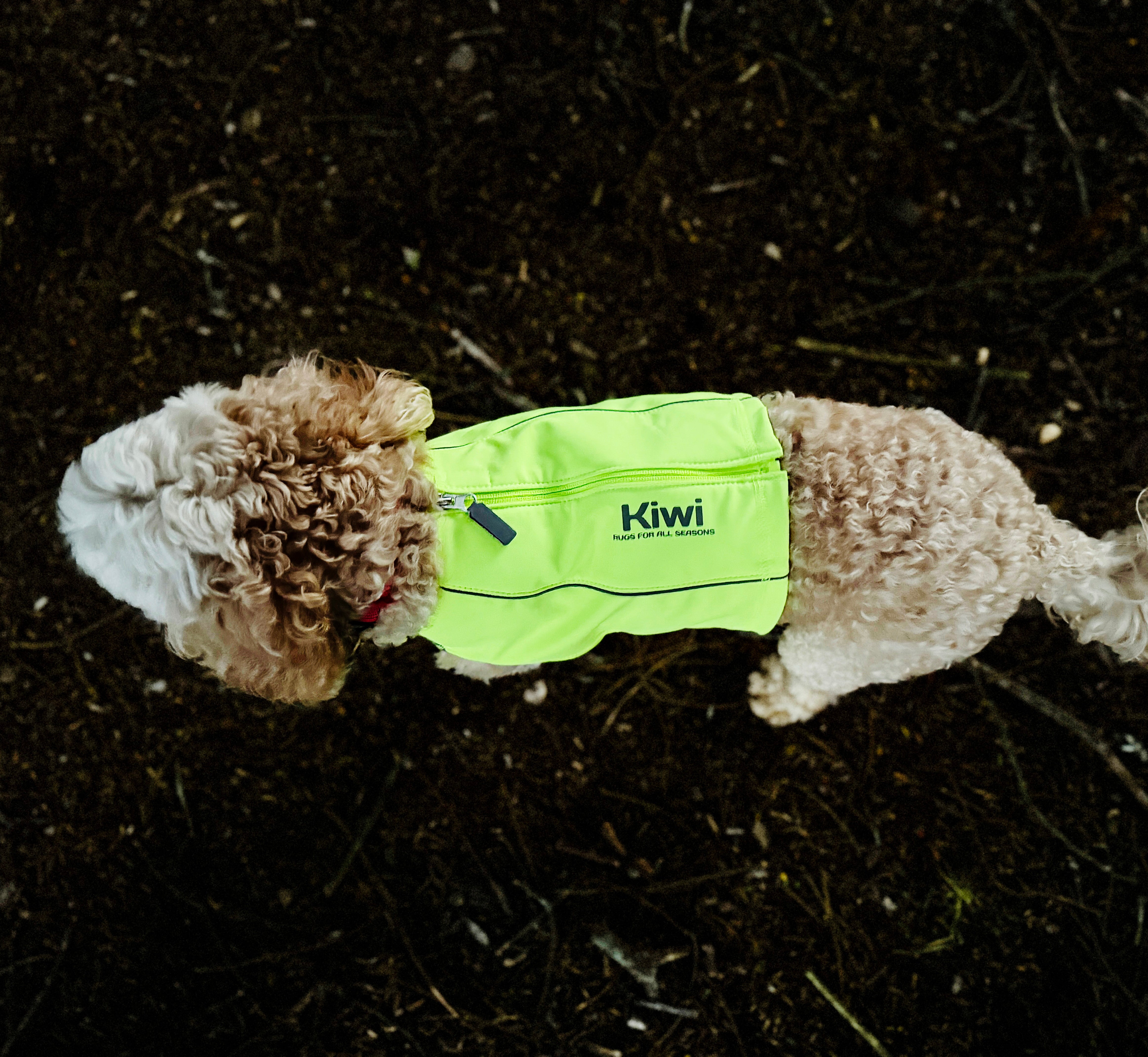 Reflective Dog Vest One / Large