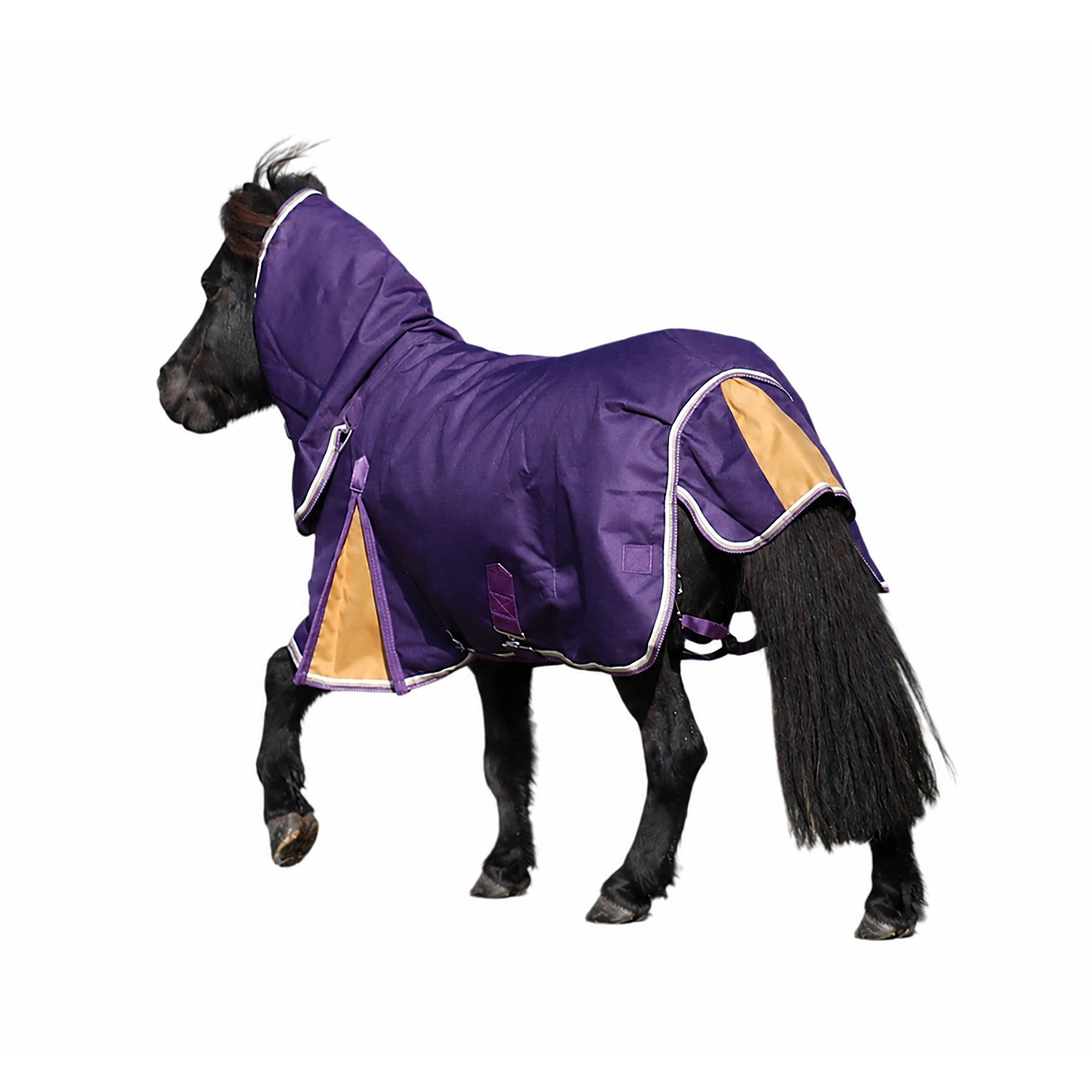 Shires Miniature Highlander Combo One / 27