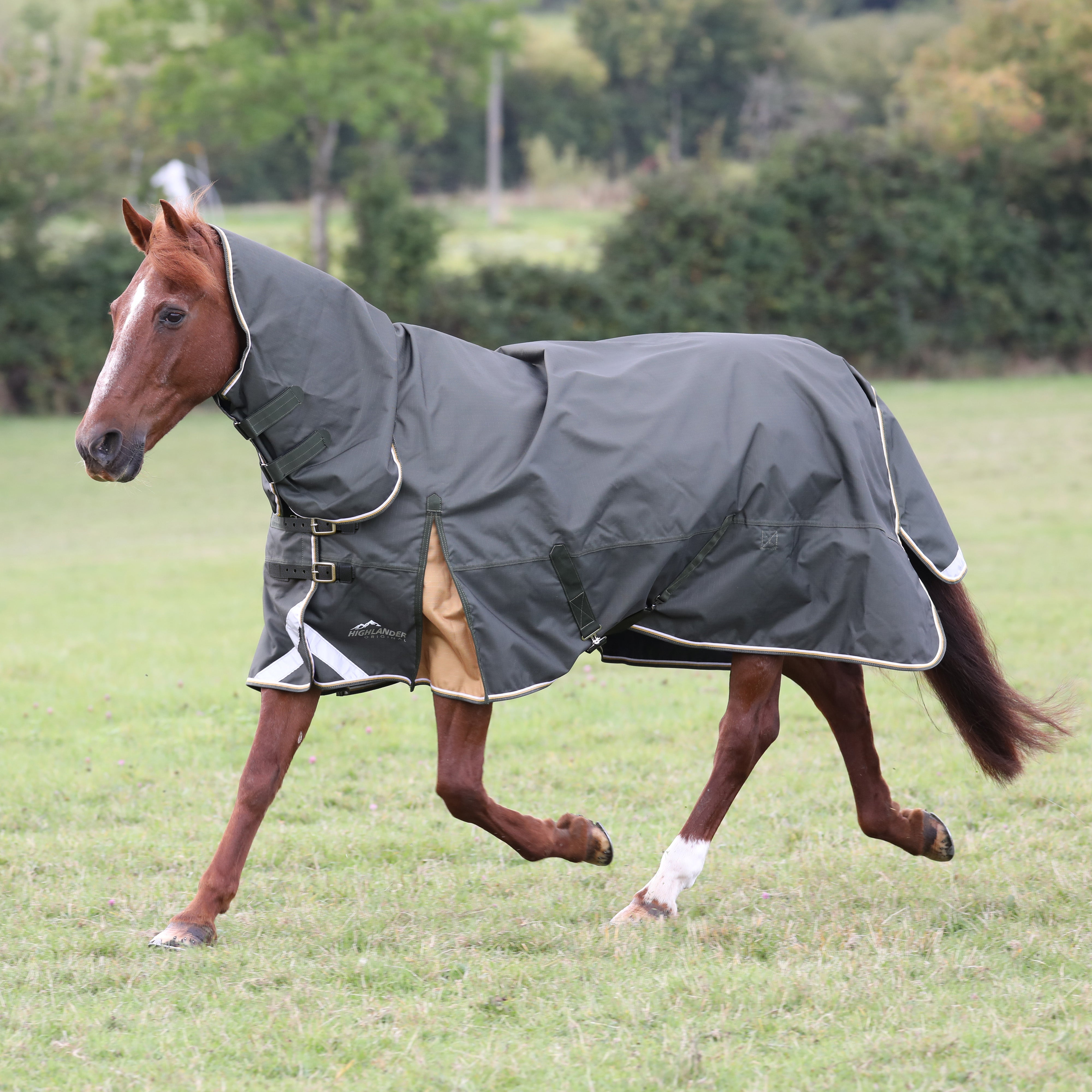 Shires Highlander Plus Combo 50g One / 3.6