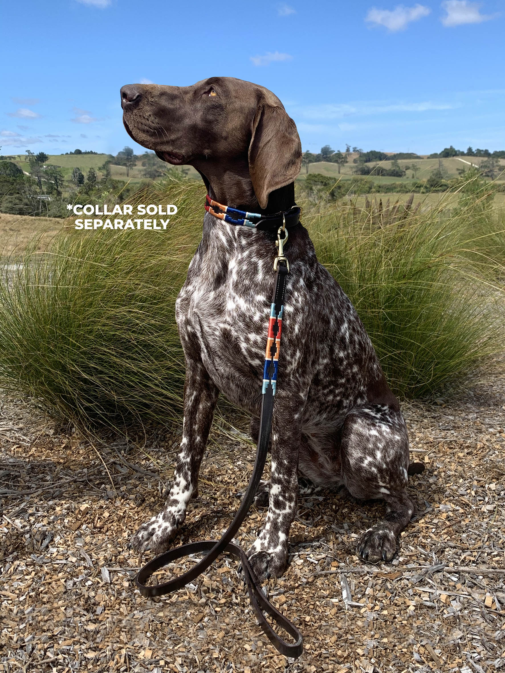 Enzo Polo Leather Dog Lead (110cm)