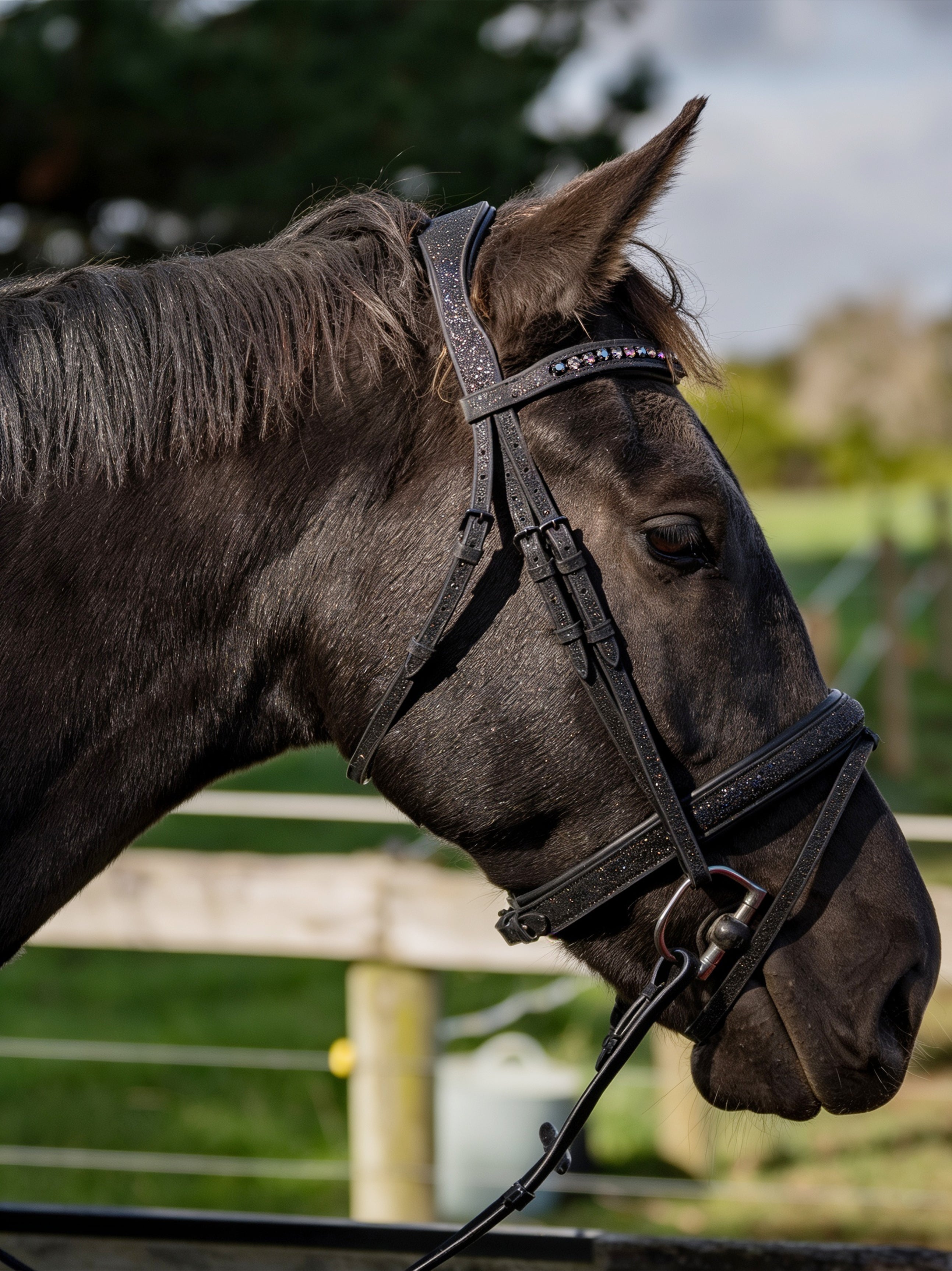 DP Vivienne Glitter Bridle