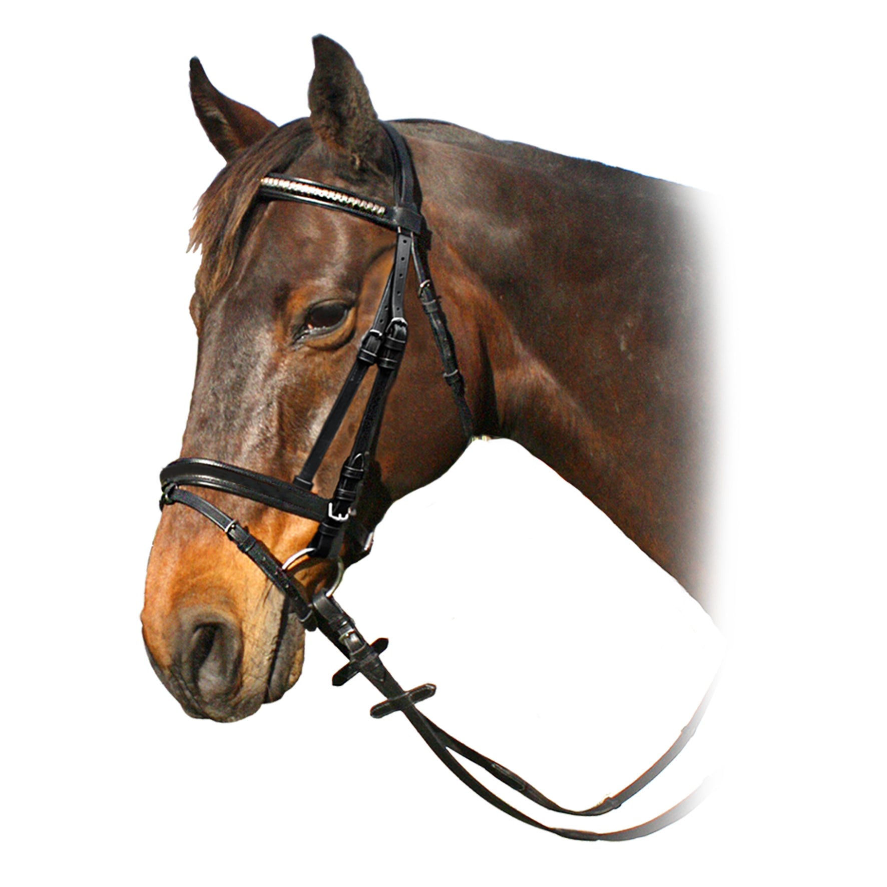 Enzo Clincher Bridle%