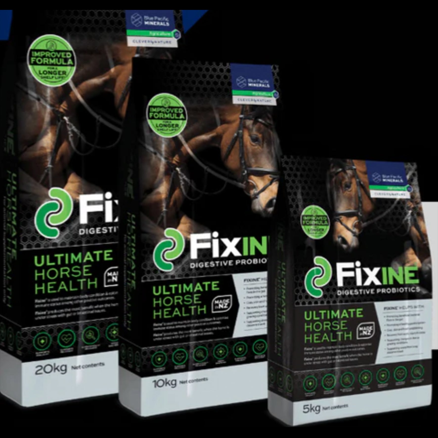 Fixine