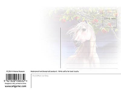 Postcard Horse Heaven