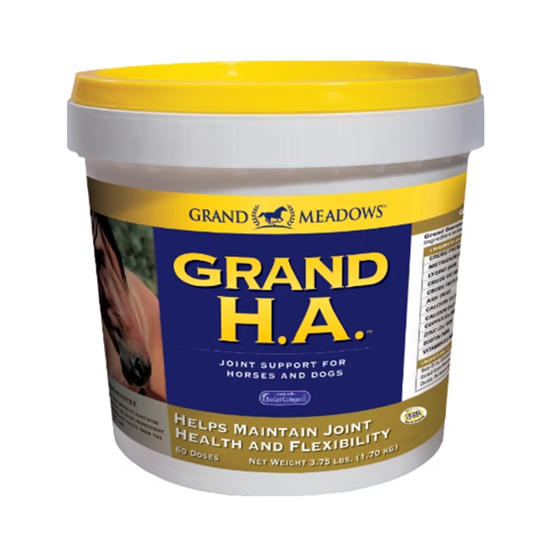 Grand Meadows Grand HA