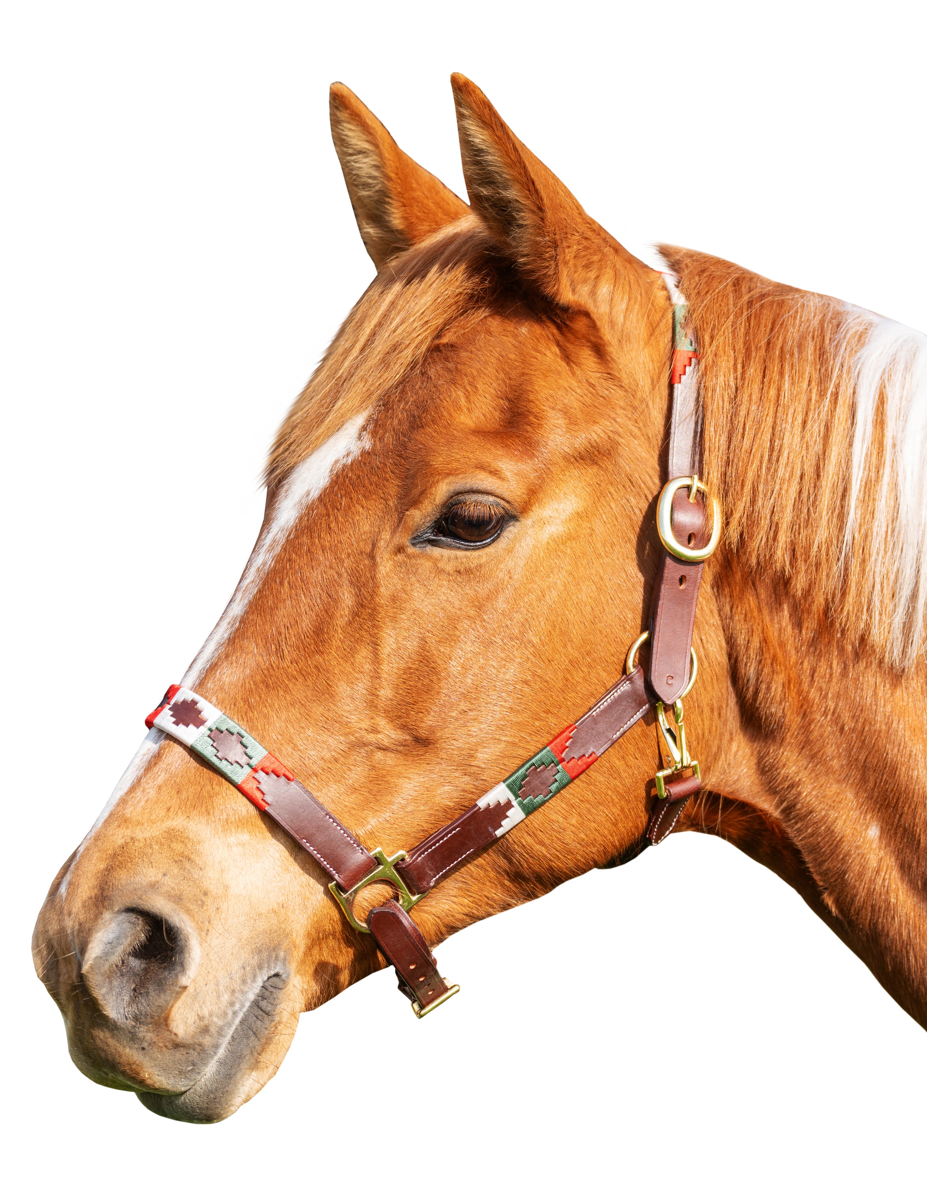 Enzo Best Polo Halter Tan/Gold / Cob