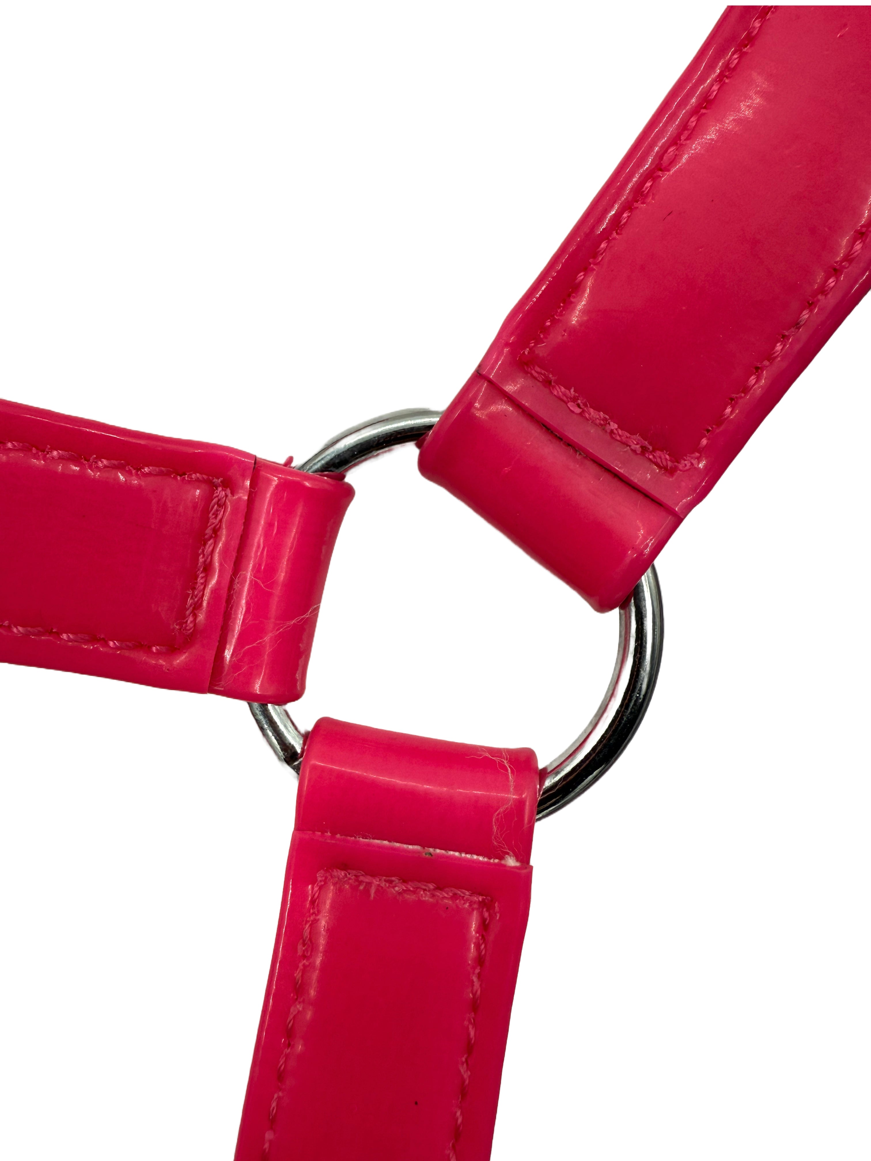 Enzo PVC Halter Blue / Cob