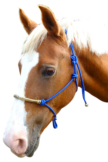 Origin Rope Halter w/Rawhide Black / All