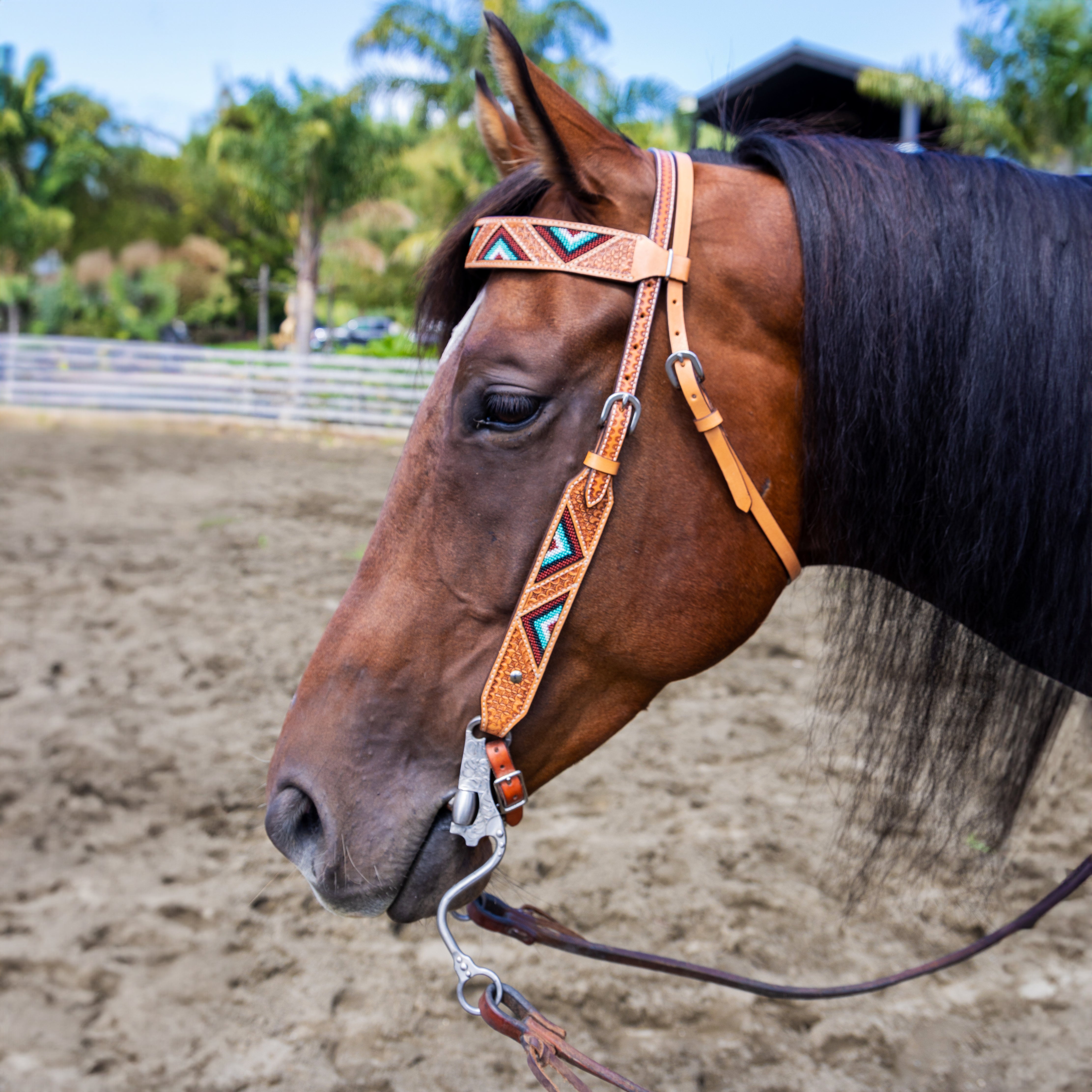 Origin Arapaho Headstall