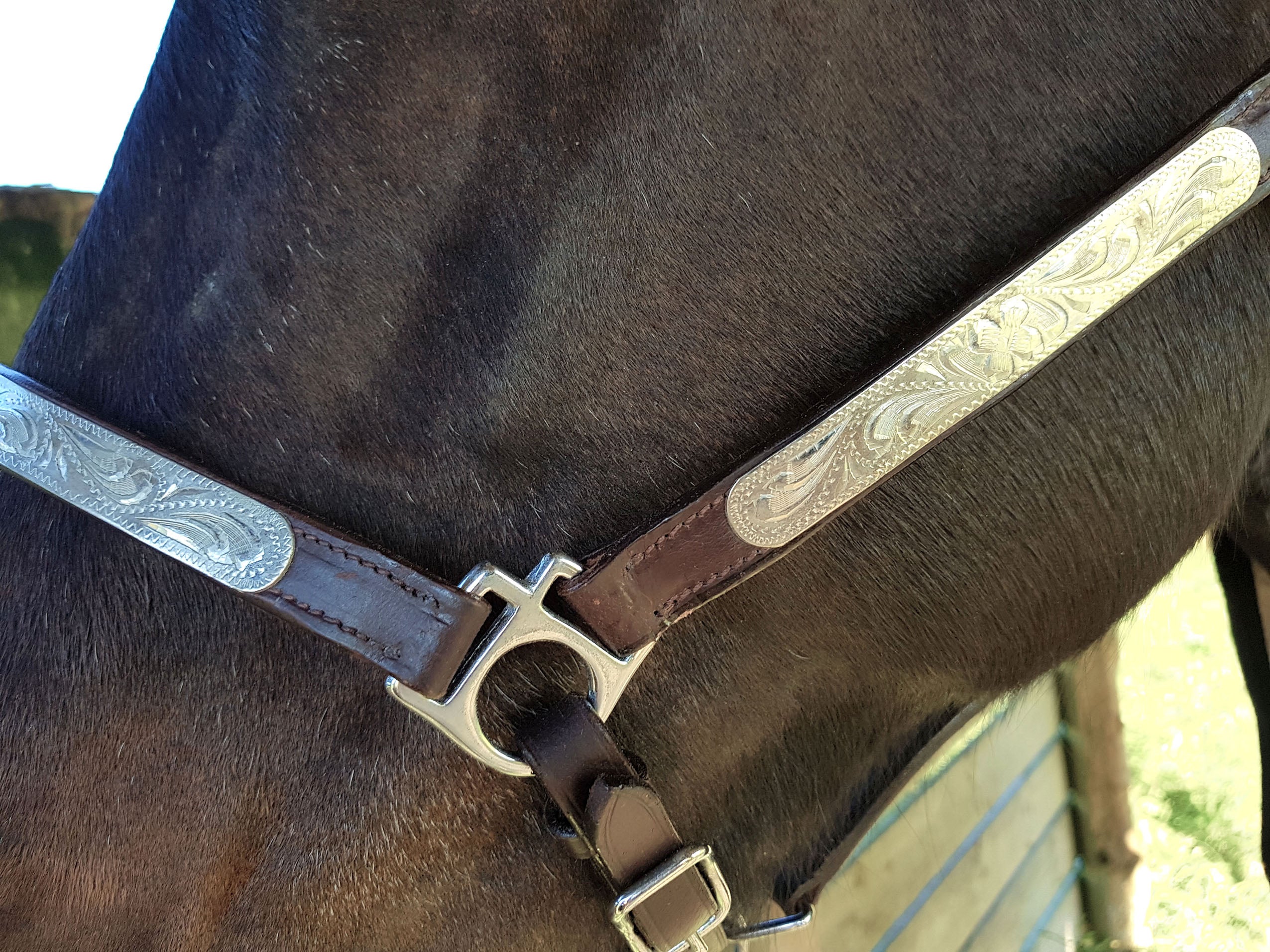Origin Lthr Halter w/Silver Plate Silver / Full