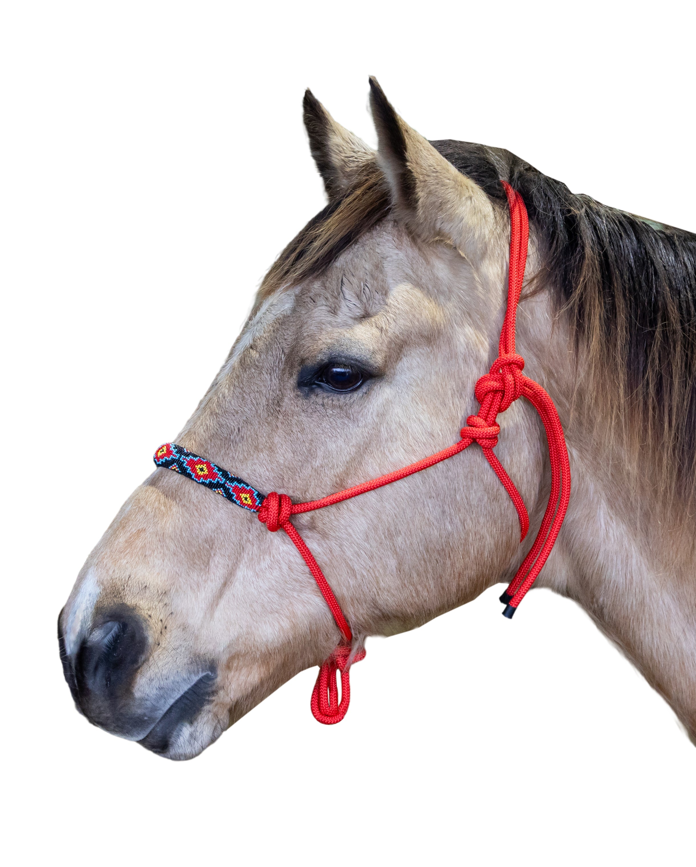 Origin Cheyenne Rope Halter Black / All