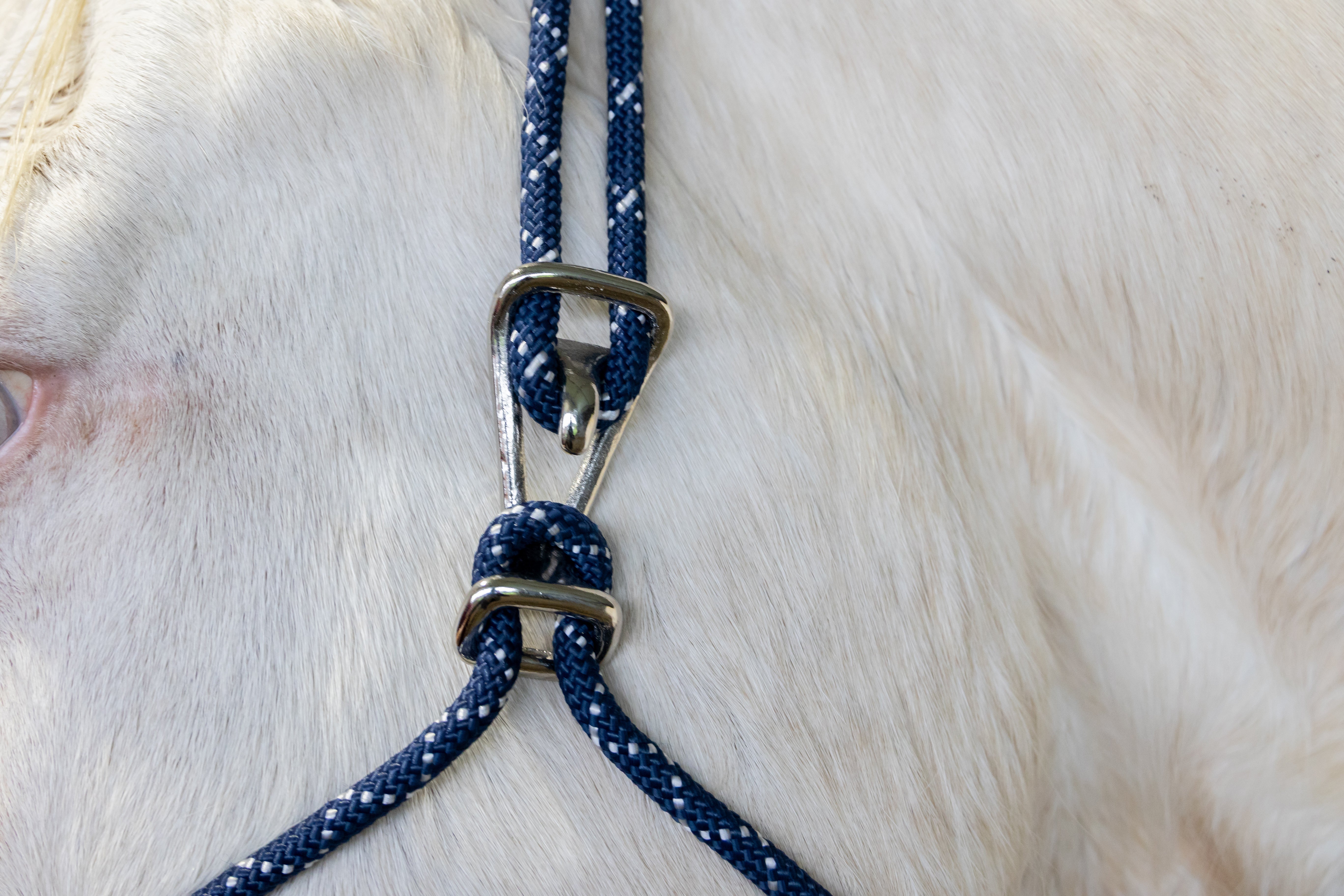 Origin Rope Halter w/Clip Black / All