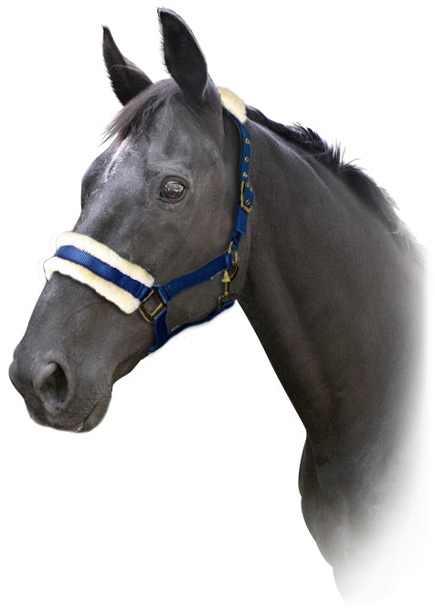 Prima Deluxe Fleece Halter Black / Full