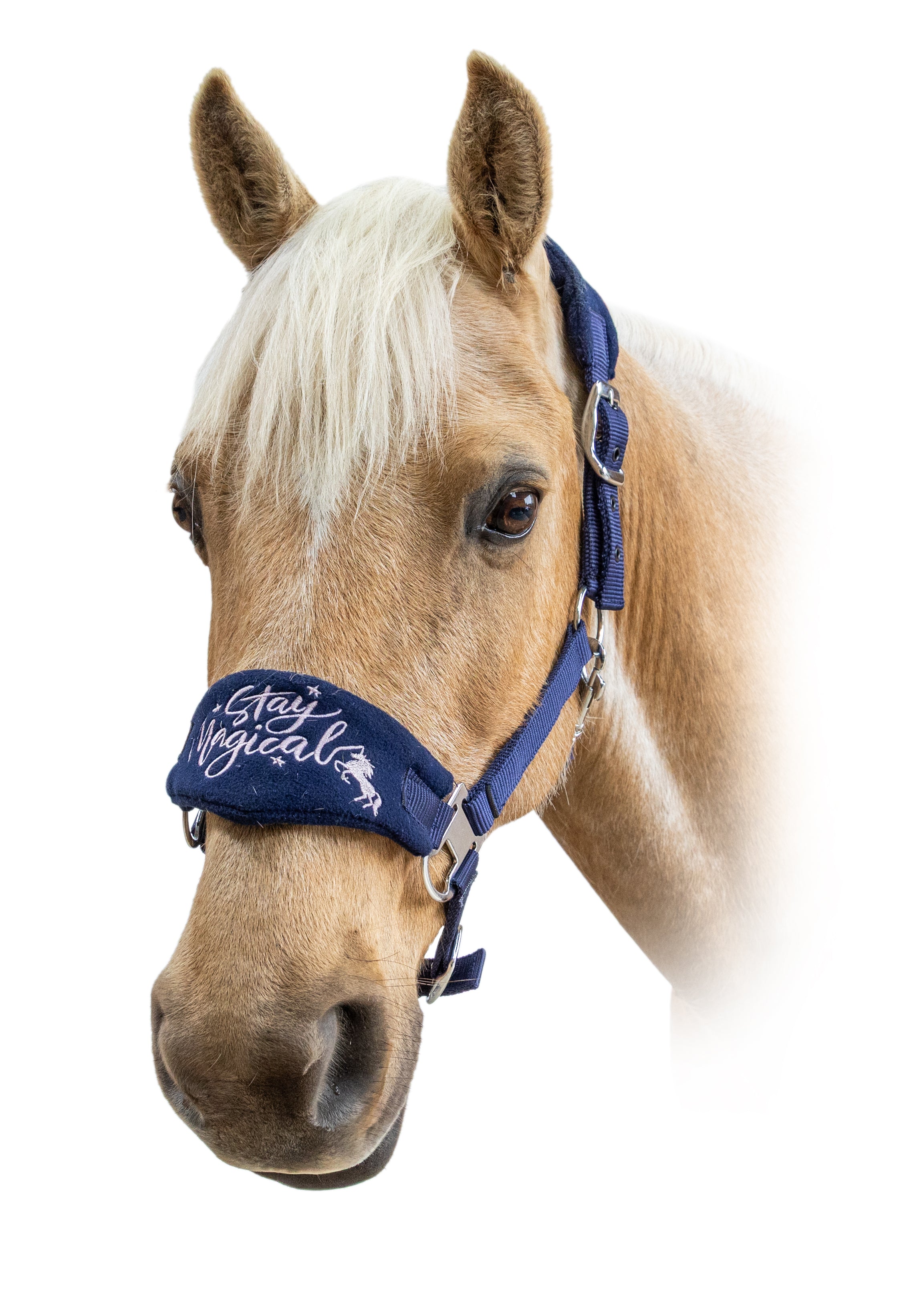 Prima Magic Fleece Halter Navy / Cob