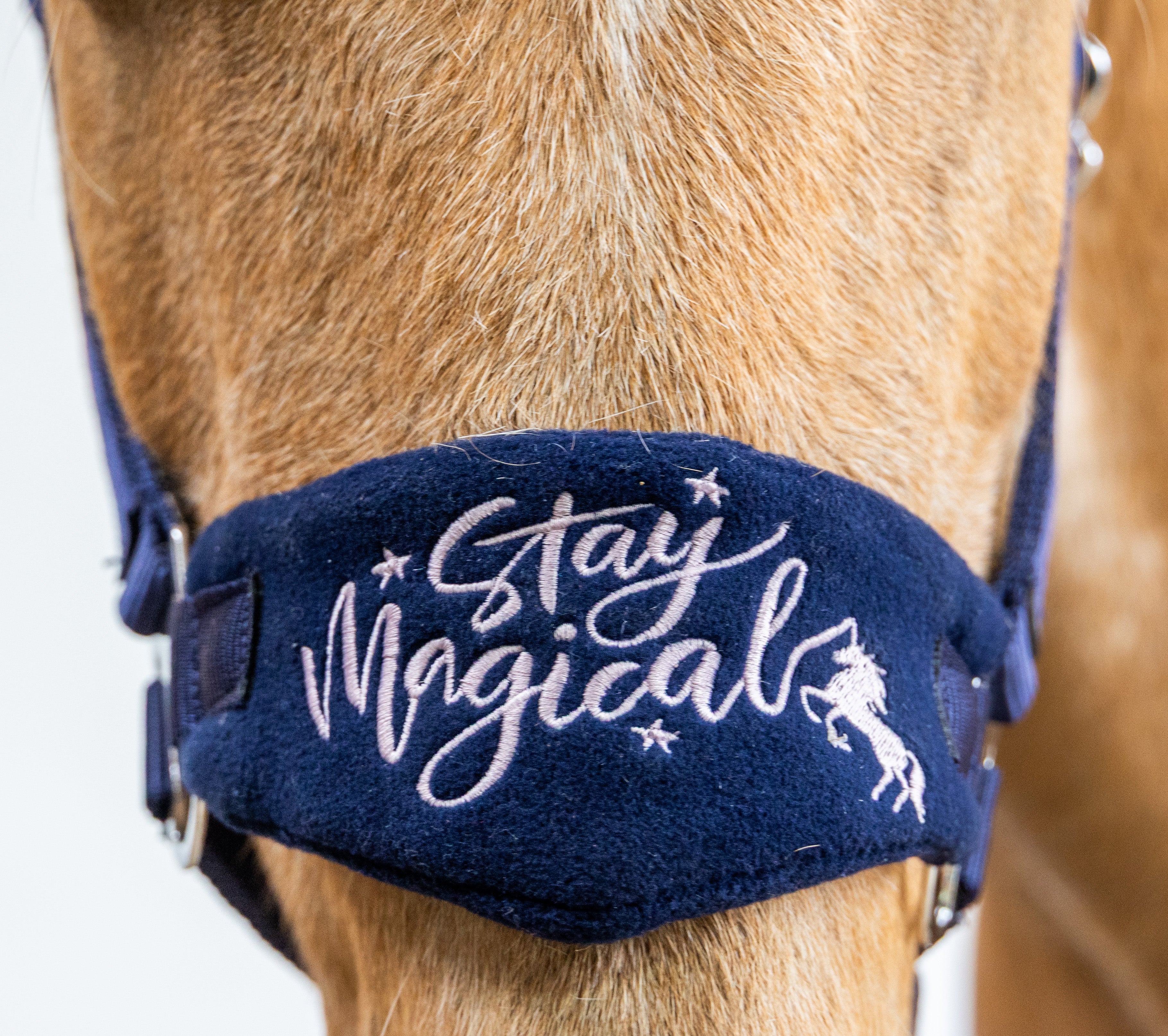 Prima Magic Fleece Halter Navy / Cob