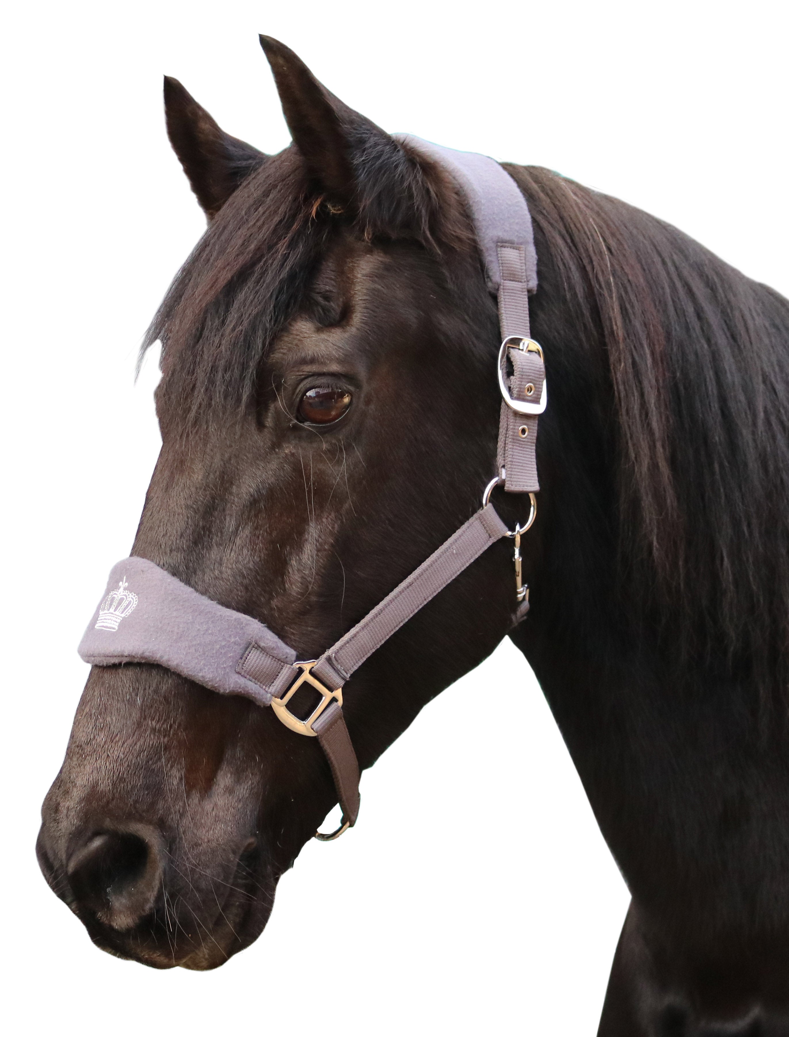 Prima Royale Fleece Halter Grey / Full