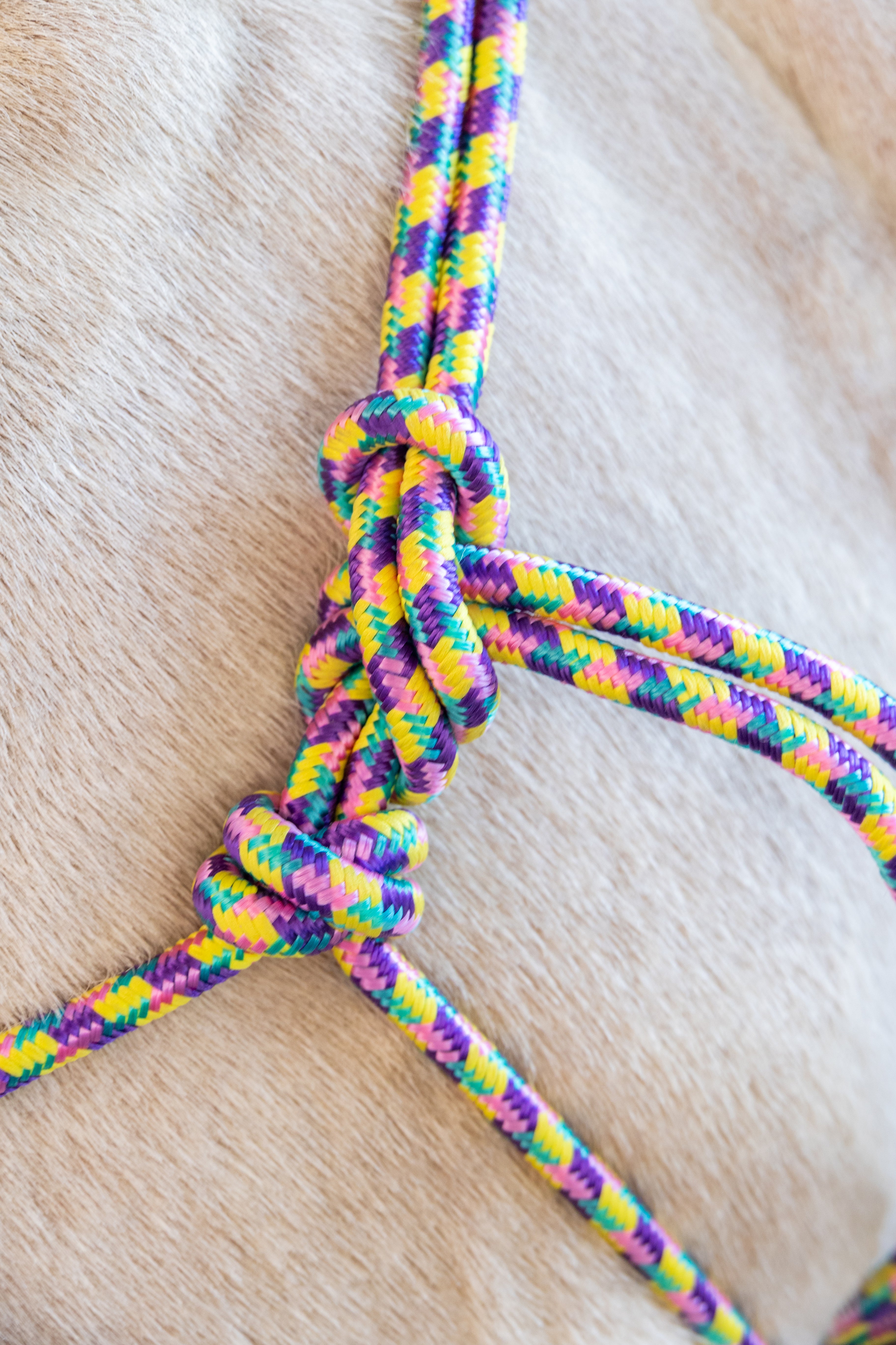 Enzo Multi Color Rope Halter w/Lead One / Cob