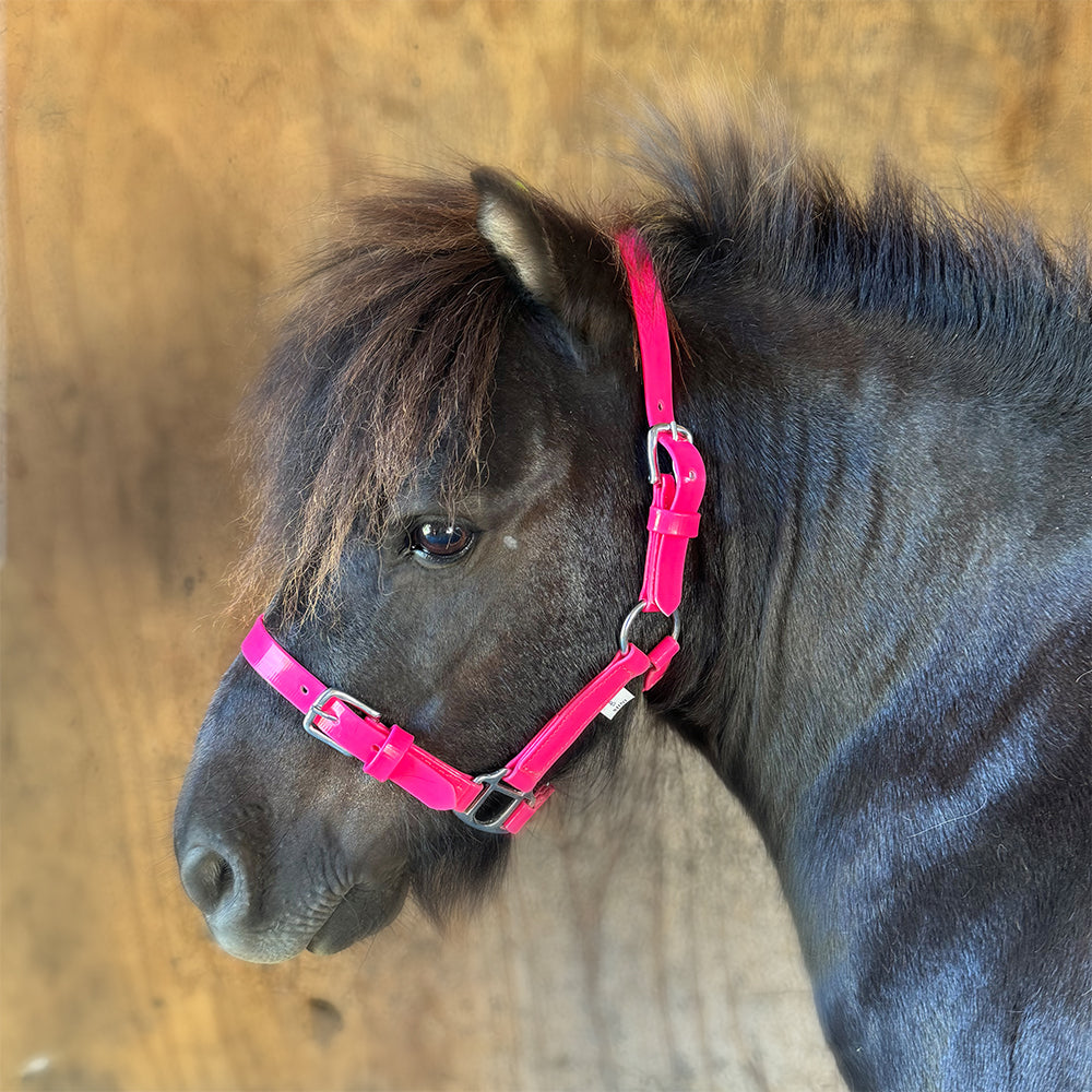 Stride Synthetic Halter Hot Pink / Mini B