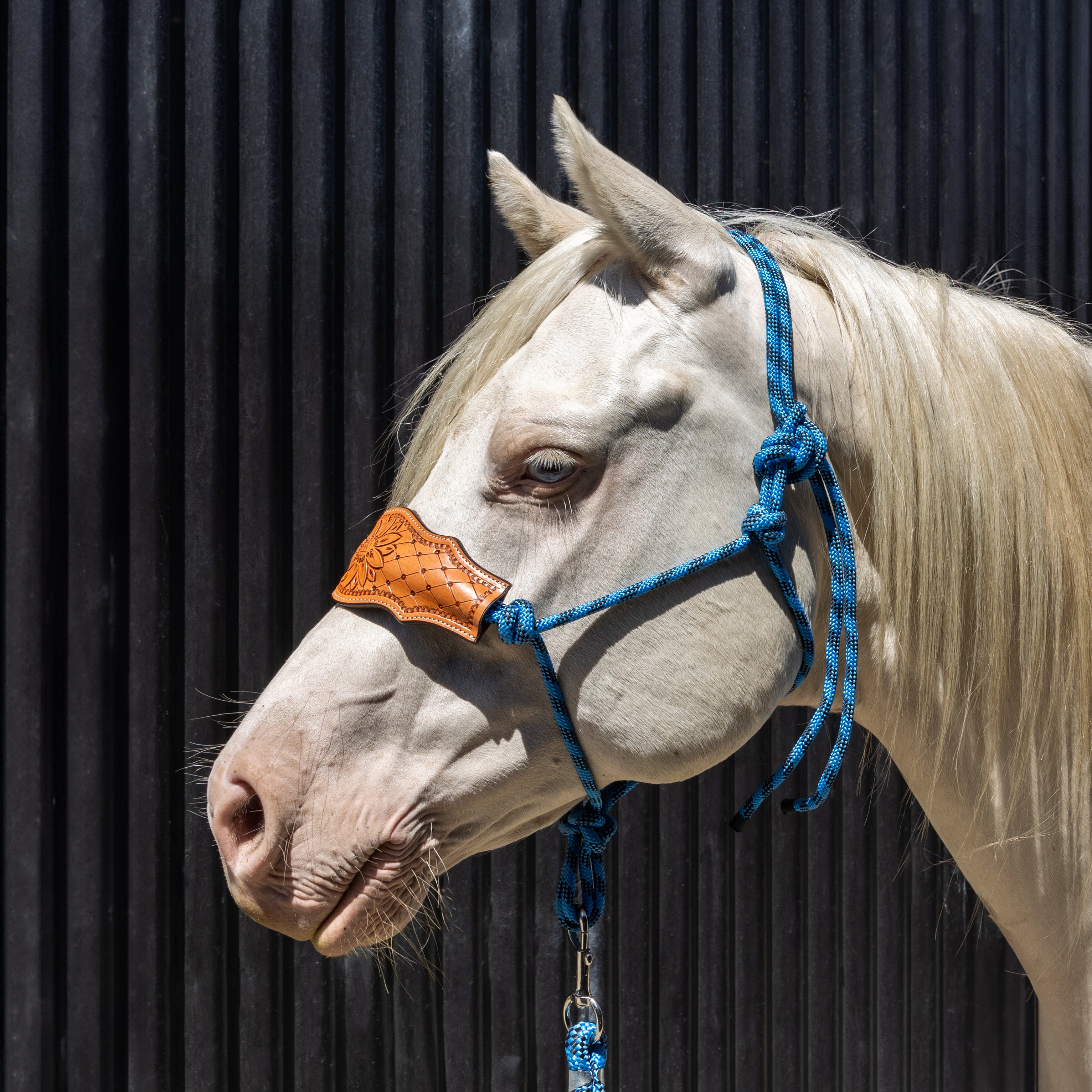Origin Tyee Rope Halter Engraved(Rbl/N%