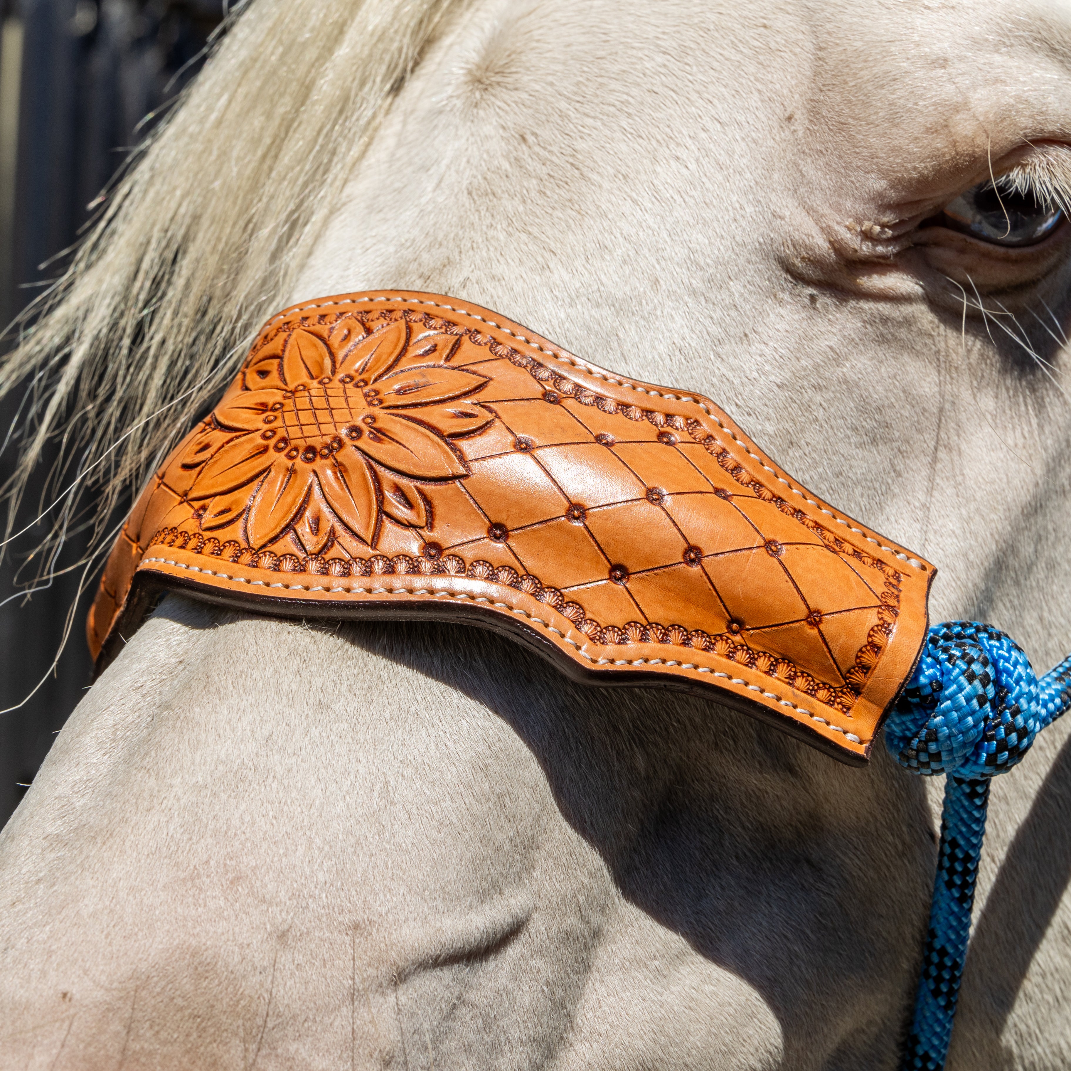 Origin Tyee Rope Halter Engraved(Rbl/N%