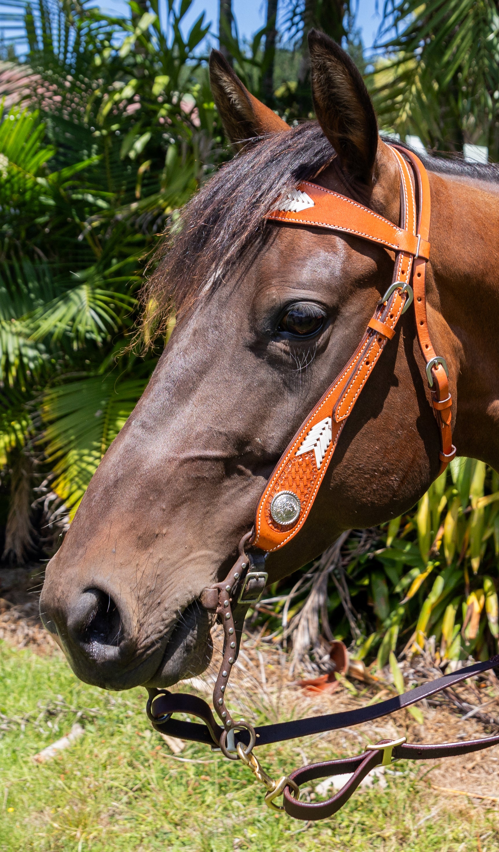 Origin Heavy Buckstitch Headstall