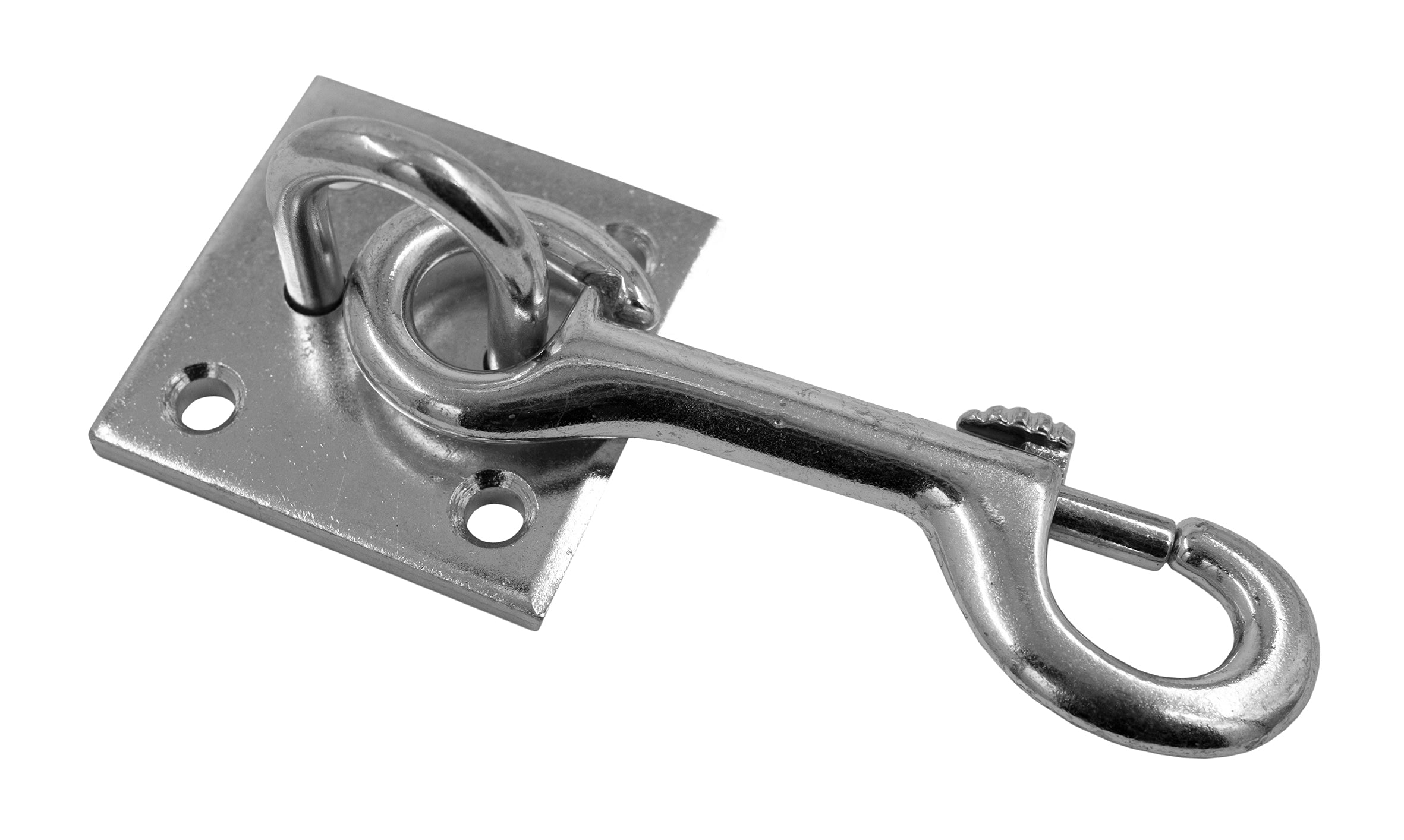 Hitching Ring with Carabiner Hook