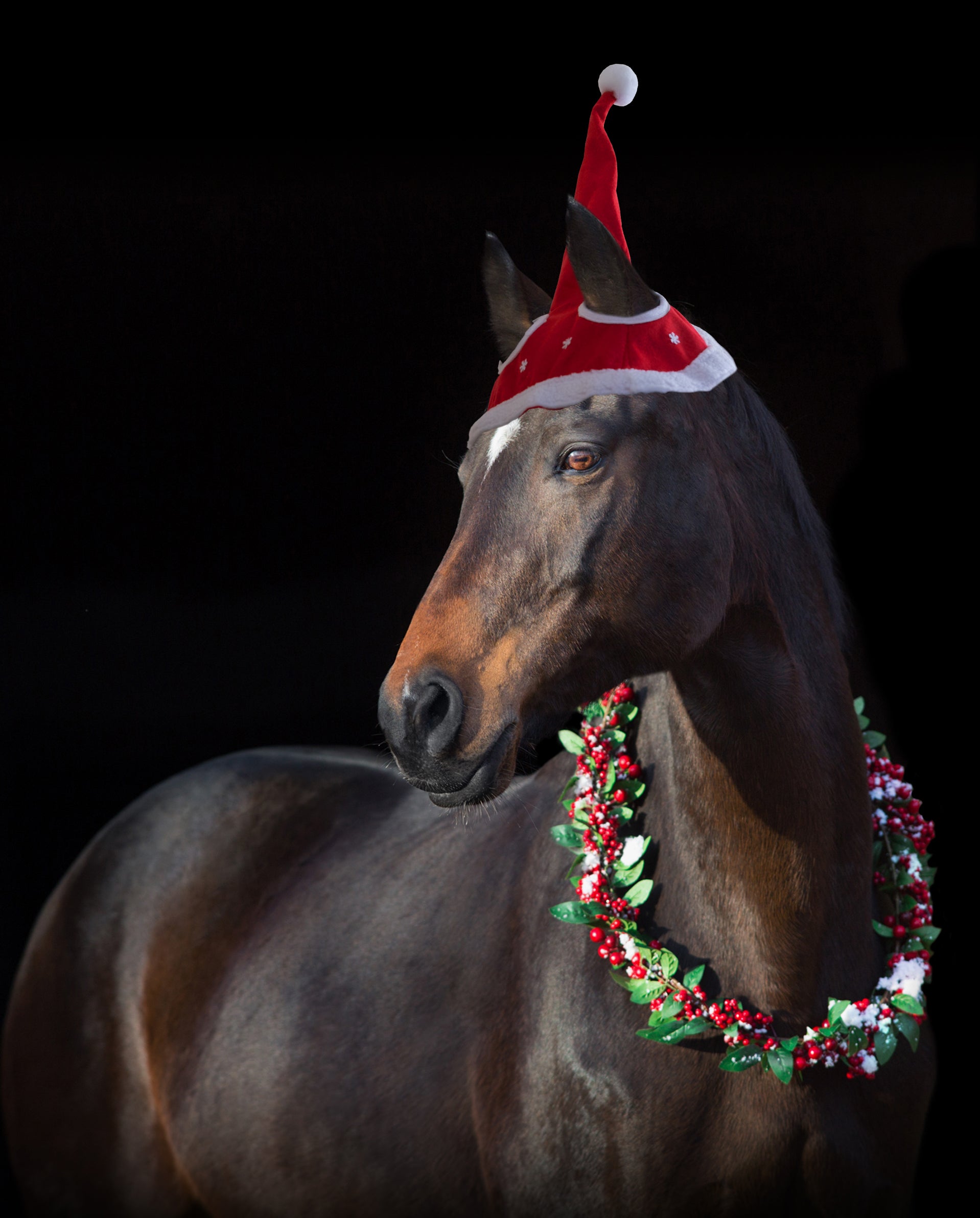 Santa Christmas Hat