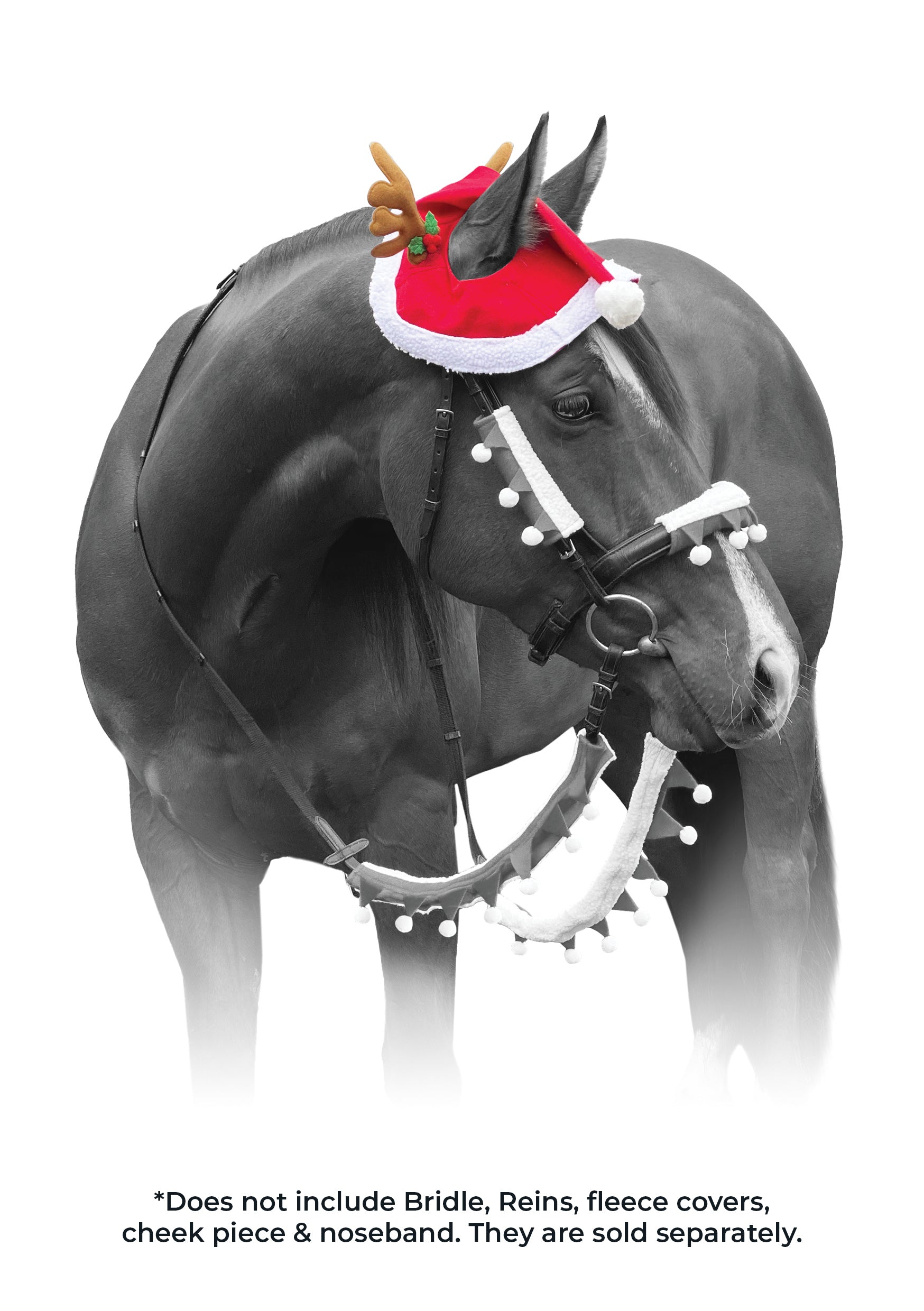 Santa Horse Hat w/ Antler